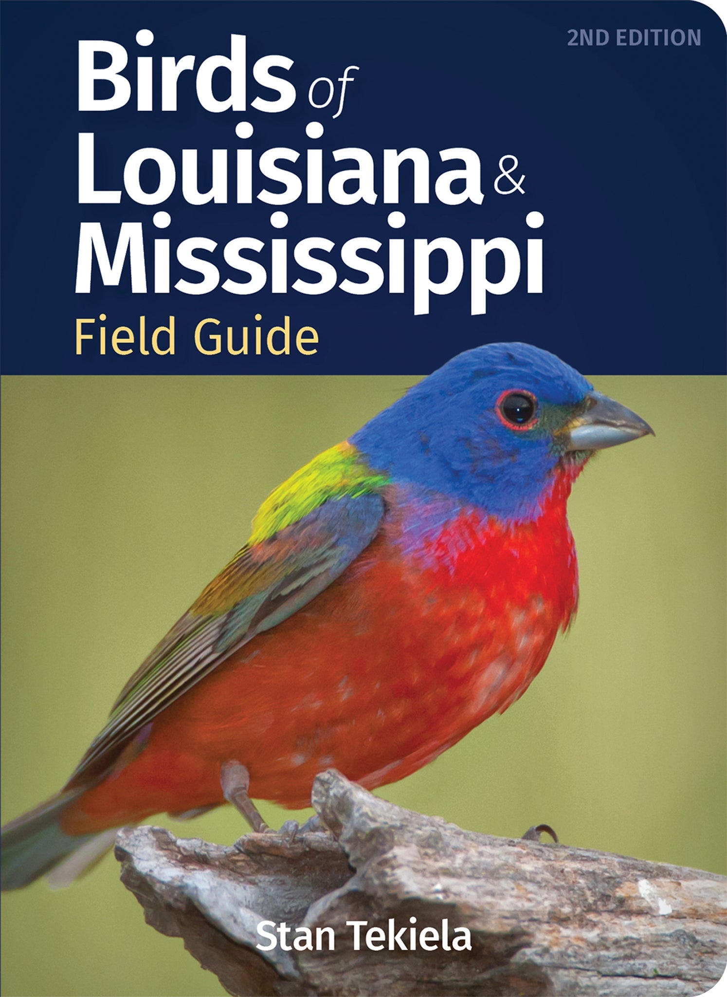 Cover image for Birds of Louisiana & Mississippi Field Guide ISBN 9781647553005