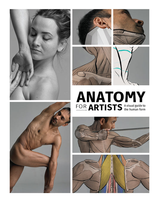 Anatomy for Artists