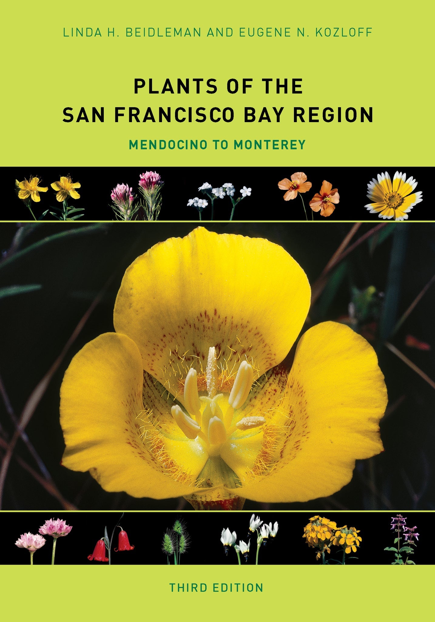 Cover image for Plants of the San Francisco Bay Region ISBN 9780520958234