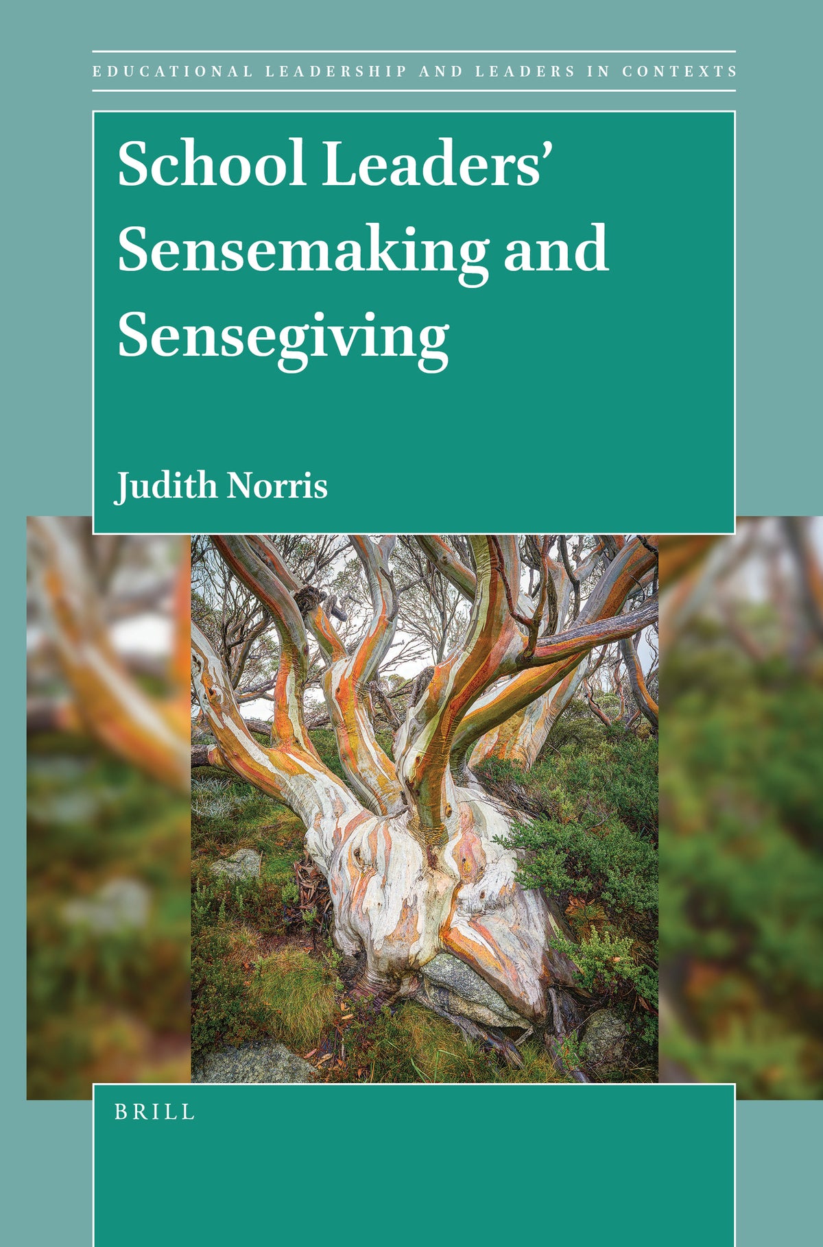 Cover image for School Leaders’ Sensemaking and Sensegiving ISBN 9789004517189