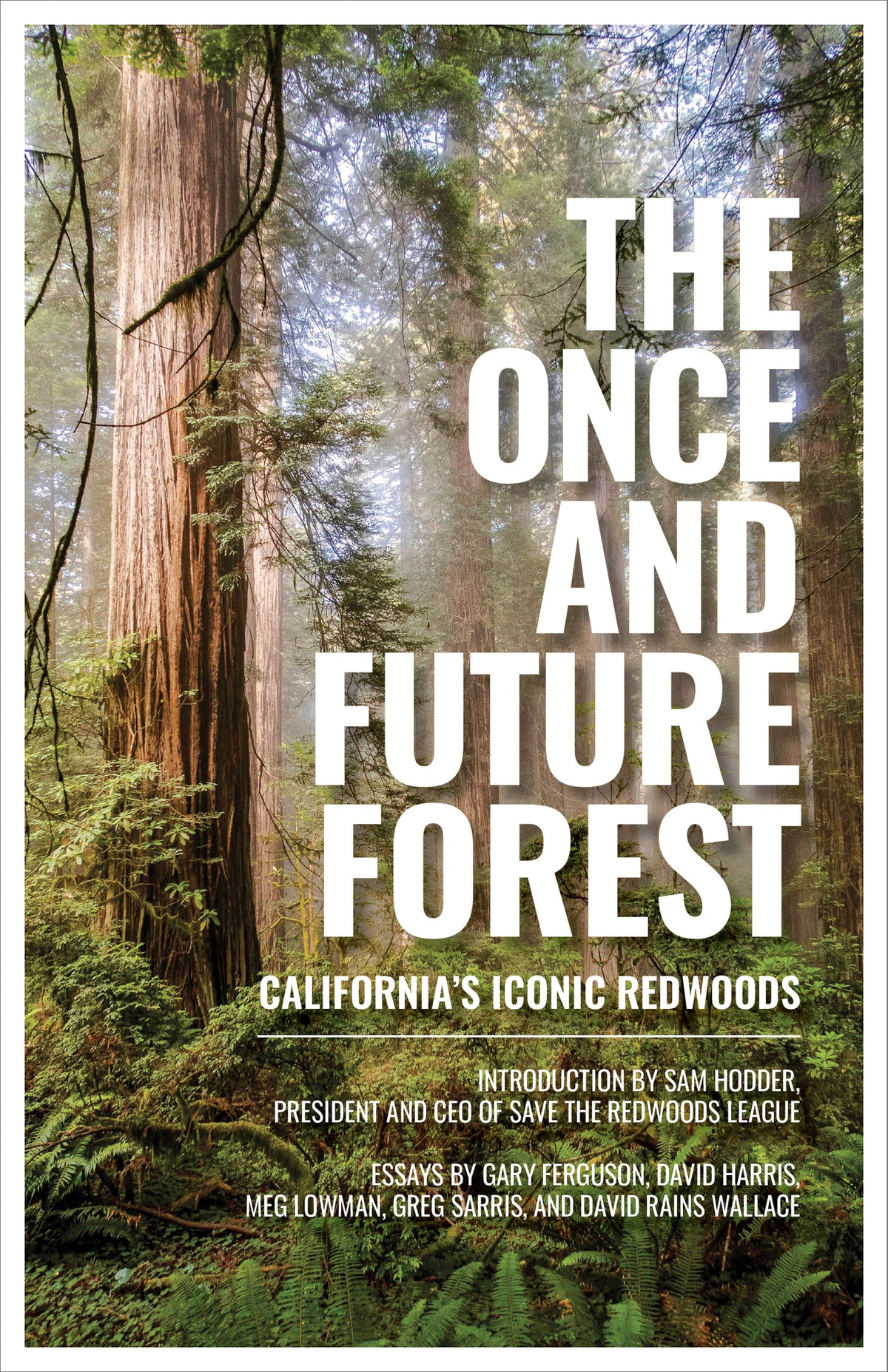 Cover image for The Once and Future Forest ISBN 9781597145565