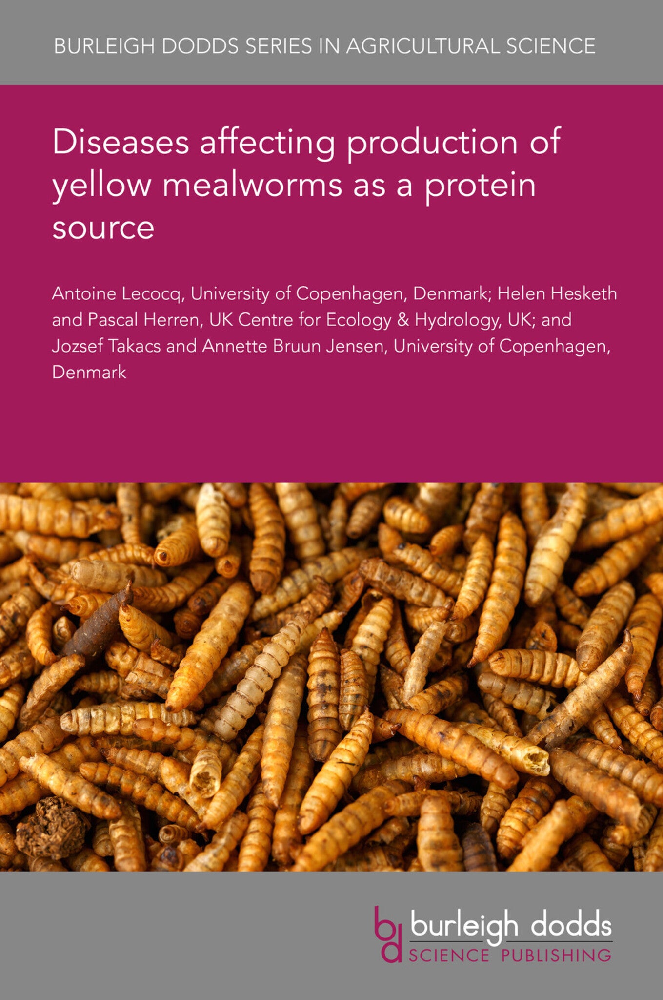 Cover image for Diseases affecting production of yellow mealworms as a protein source ISBN 9781835453452