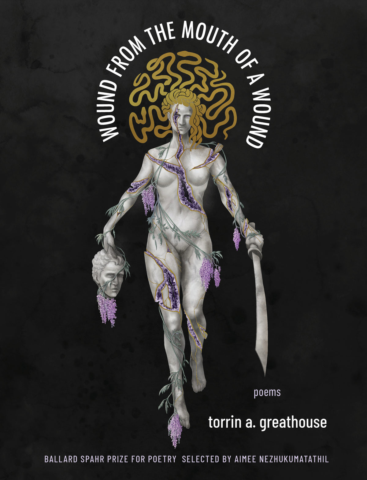 Cover image for Wound from the Mouth of a Wound ISBN 9781571315274