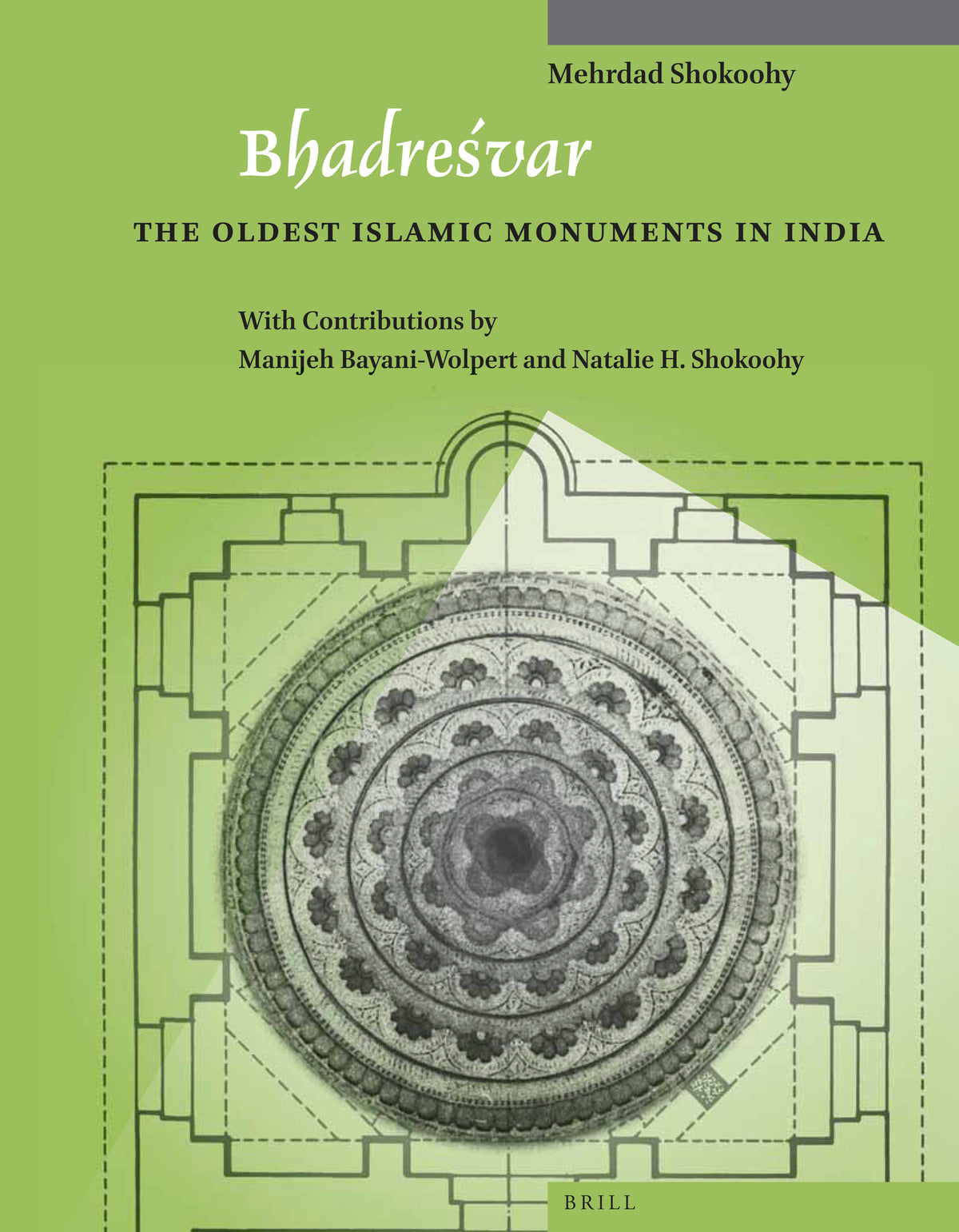 Cover image for Bhadreśvar ISBN 9789004259546