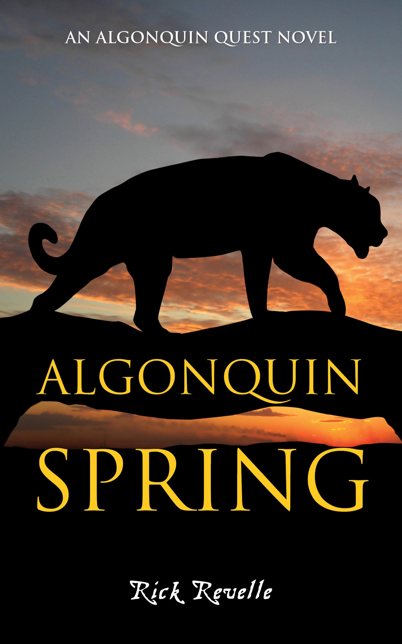 Cover image for Algonquin Spring ISBN 9781459730632