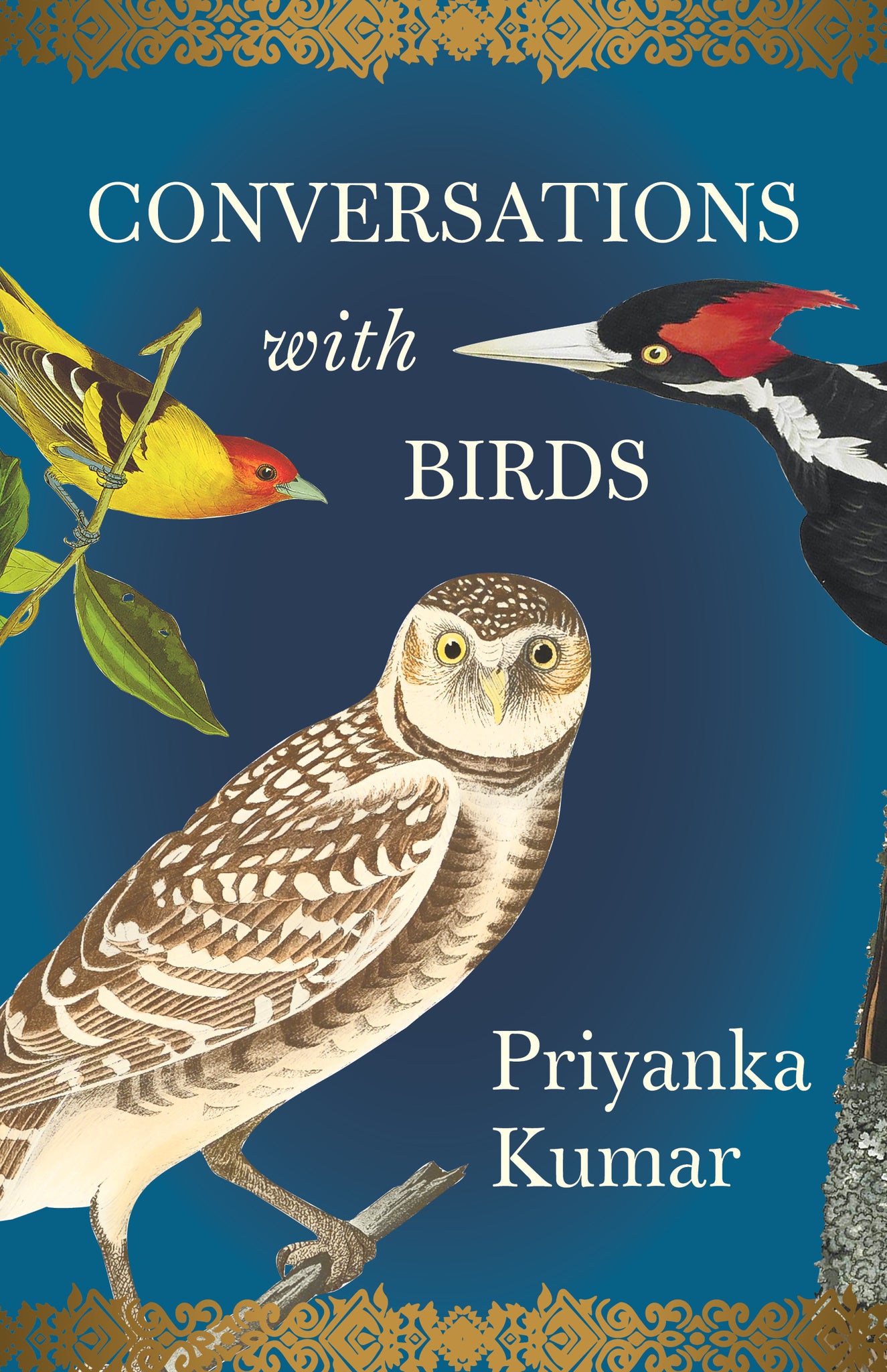 Cover image for Conversations with Birds ISBN 9781571313997
