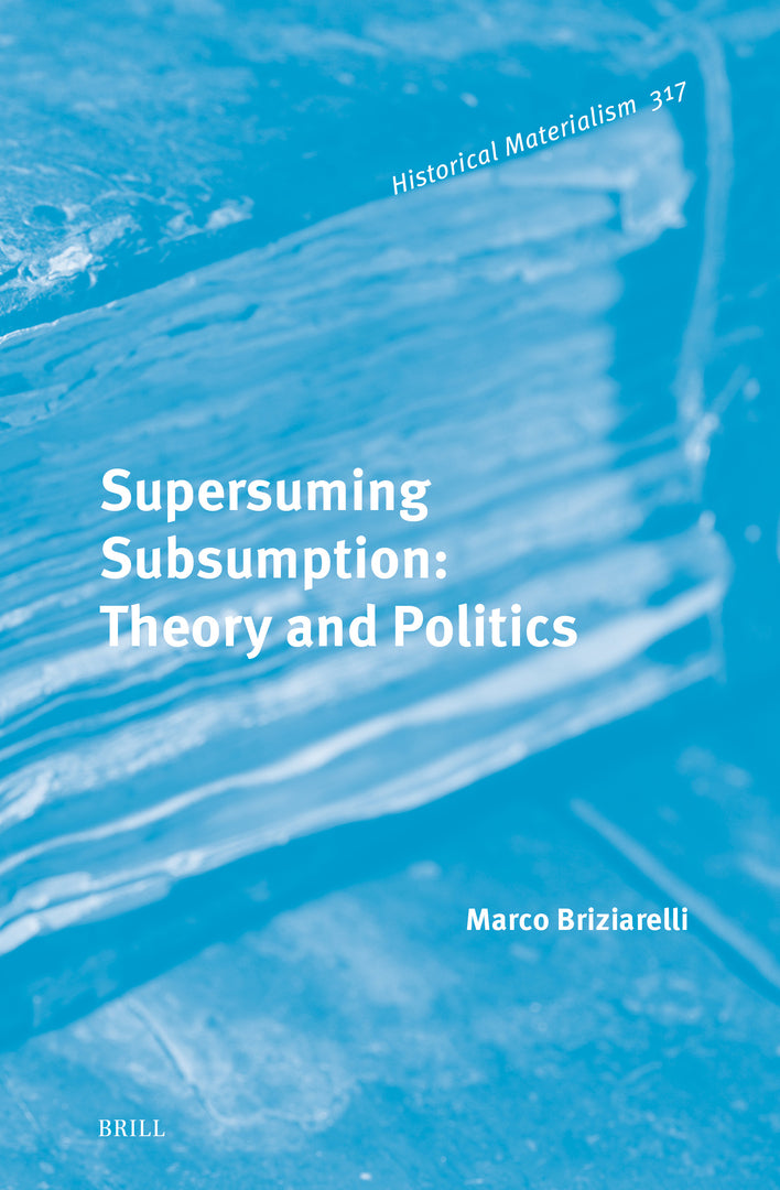 Cover image for Supersuming Subsumption: Theory and Politics ISBN 9789004682948