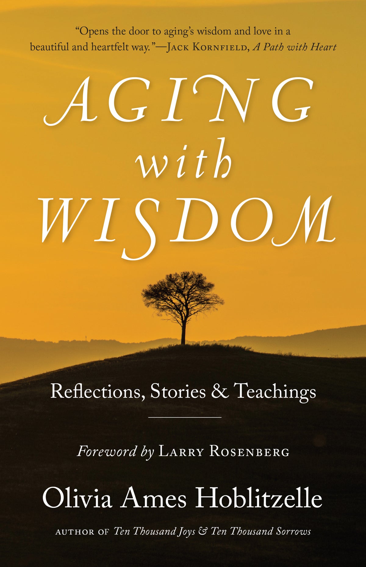 Cover image for Aging with Wisdom ISBN 9781939681713