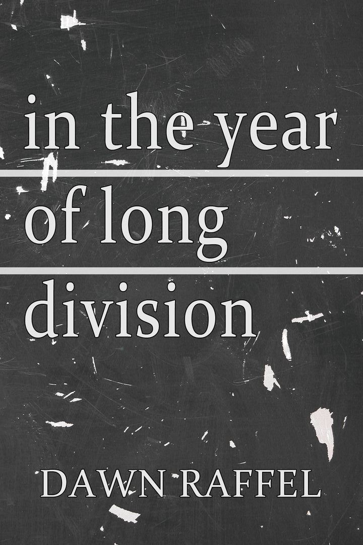 Cover image for In the Year of Long Division ISBN 9781936873920