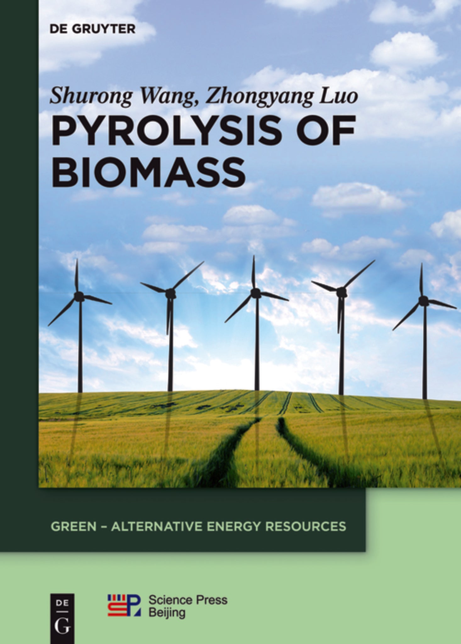 Pyrolysis of Biomass
