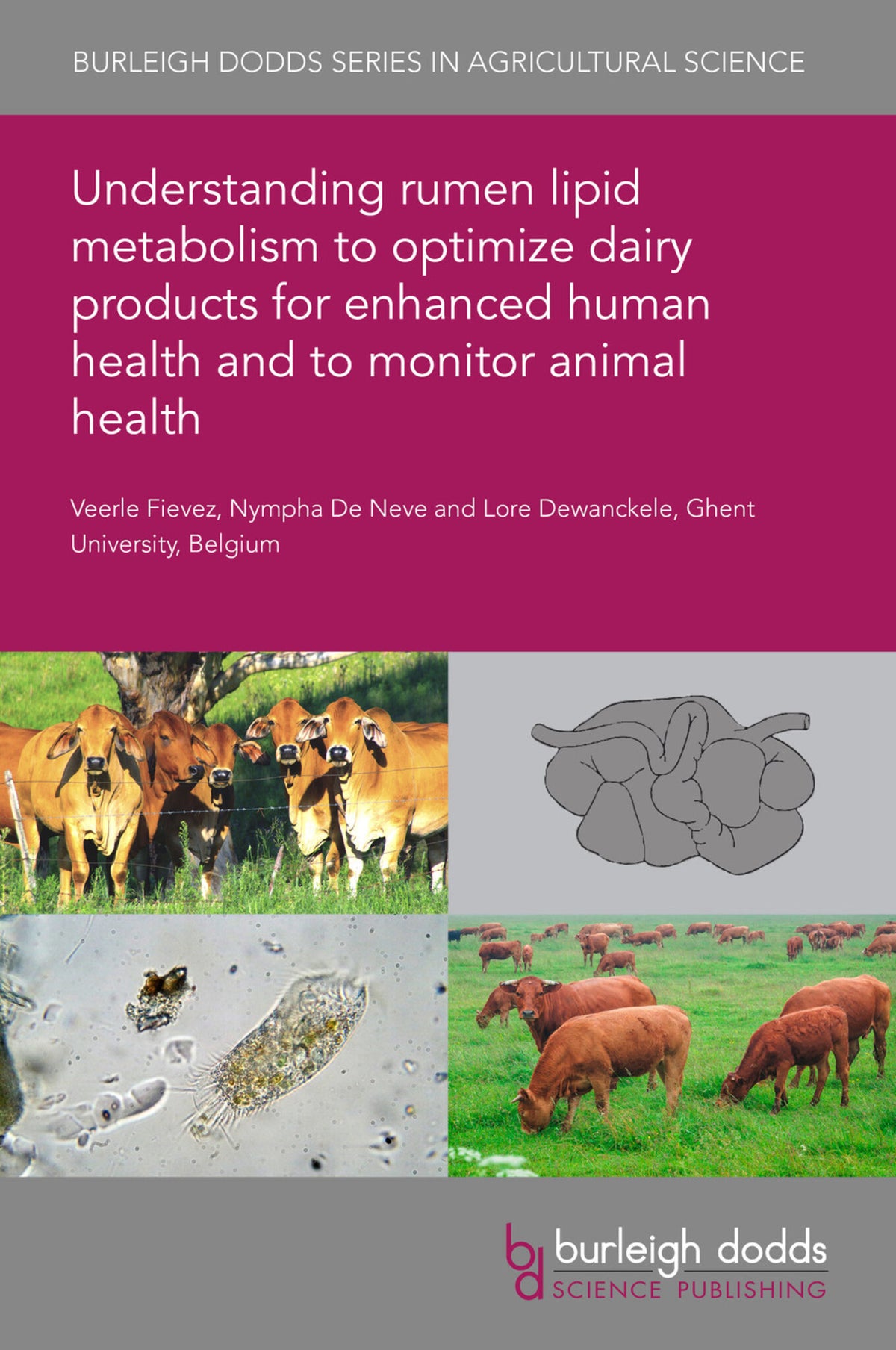 Cover image for Understanding rumen lipid metabolism to optimize dairy products for enhanced human health and to monitor animal health ISBN 9781786768032
