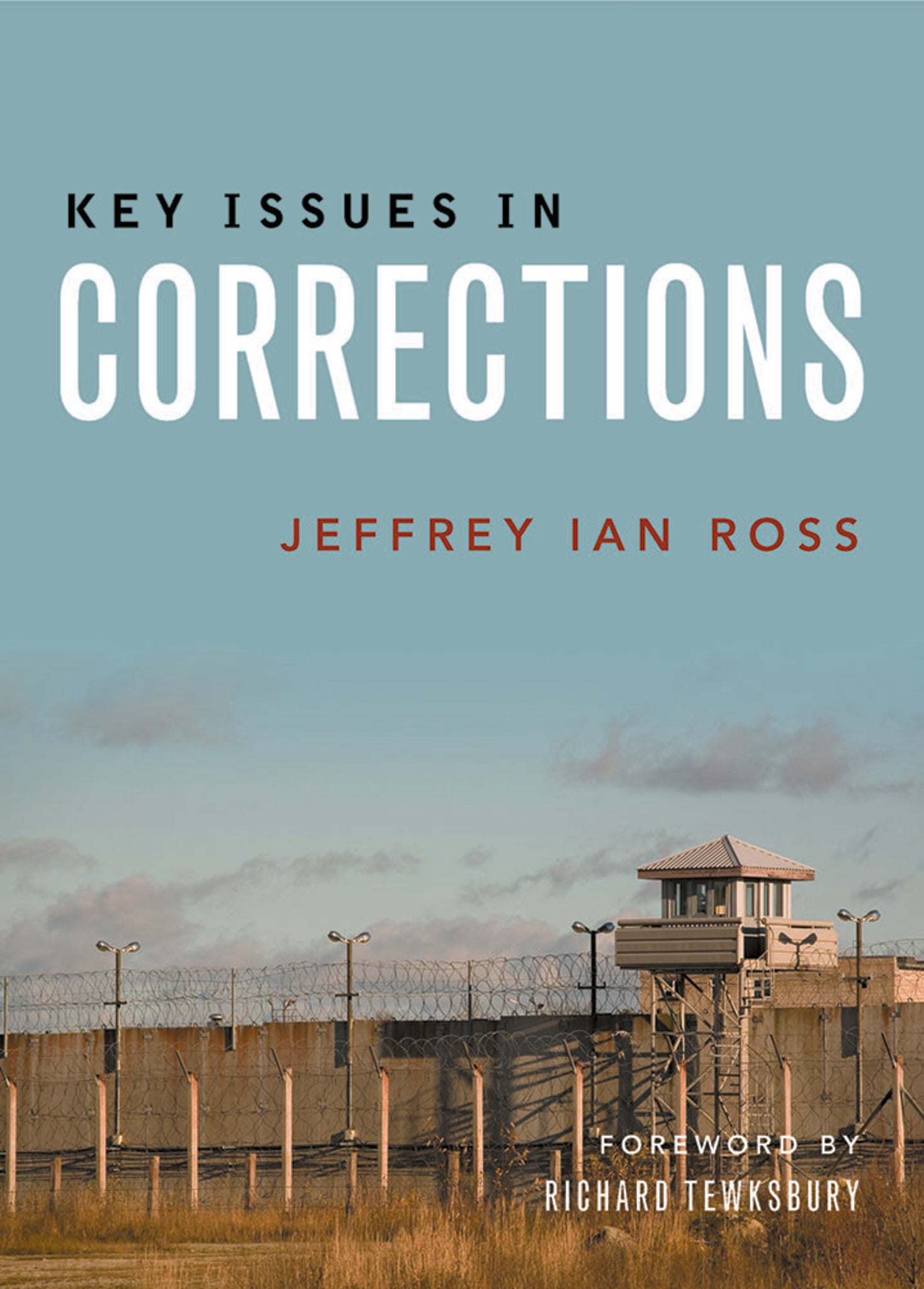 Key Issues in Corrections