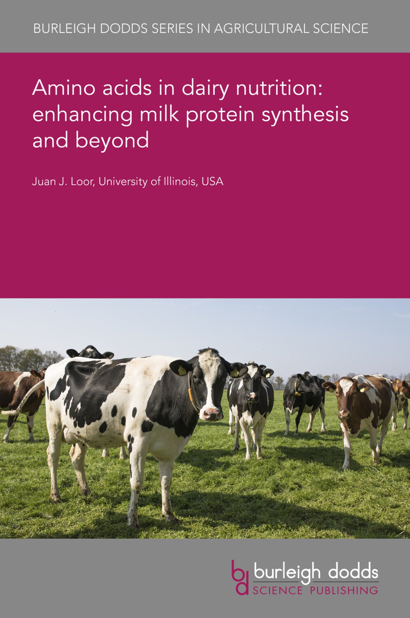 Cover image for Amino acids in dairy nutrition: enhancing milk protein synthesis and beyond ISBN 9781801468190