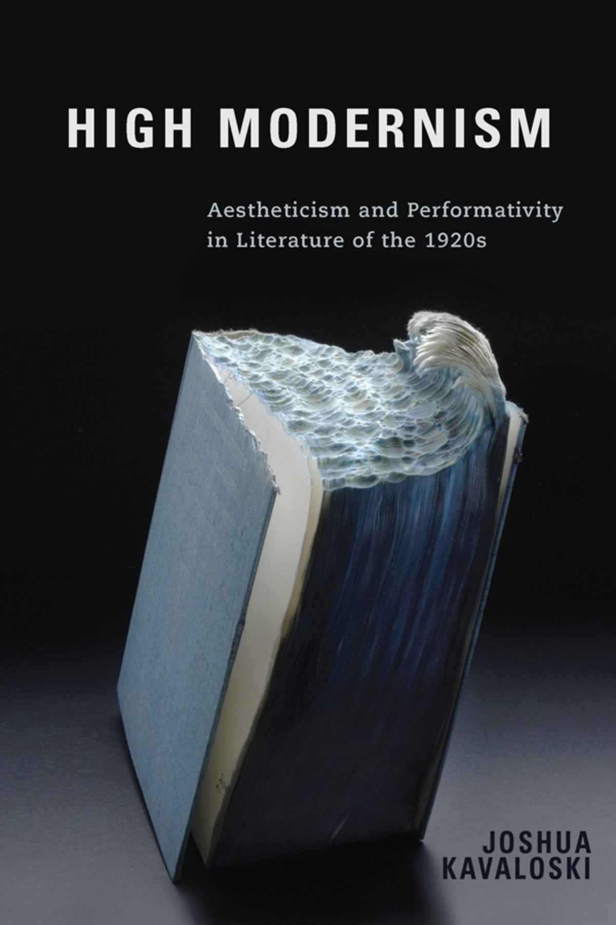 Cover image for High Modernism ISBN 9781571139108