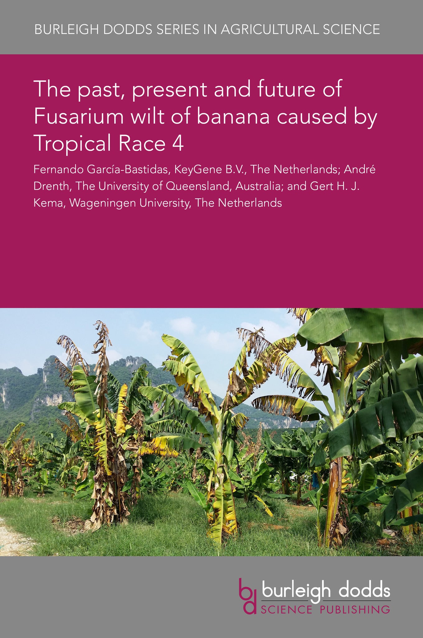 Cover image for The past, present and future of Fusarium wilt of banana caused by Tropical Race 4 ISBN 9781835451045