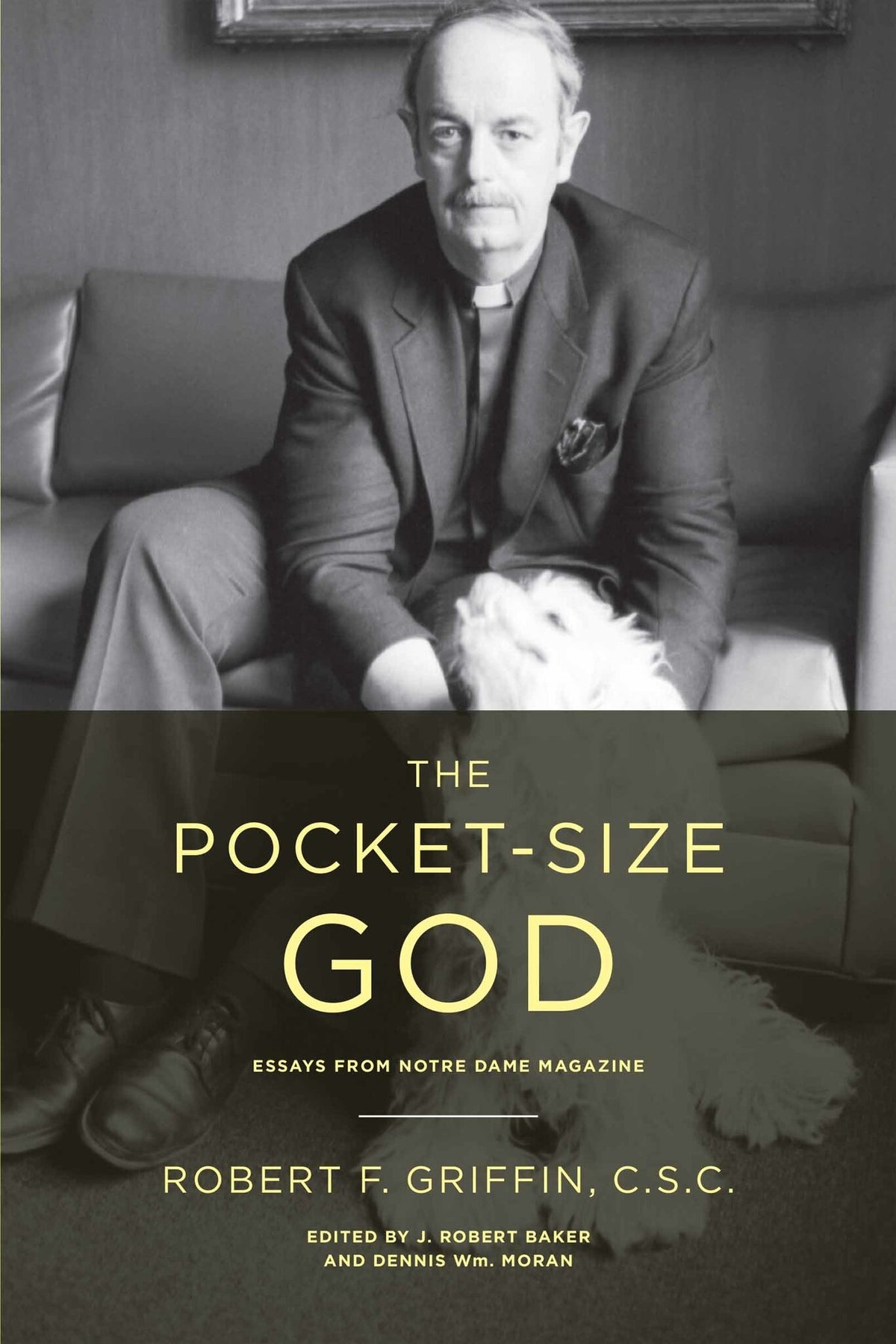 Cover image for The Pocket-Size God ISBN 9780268207076