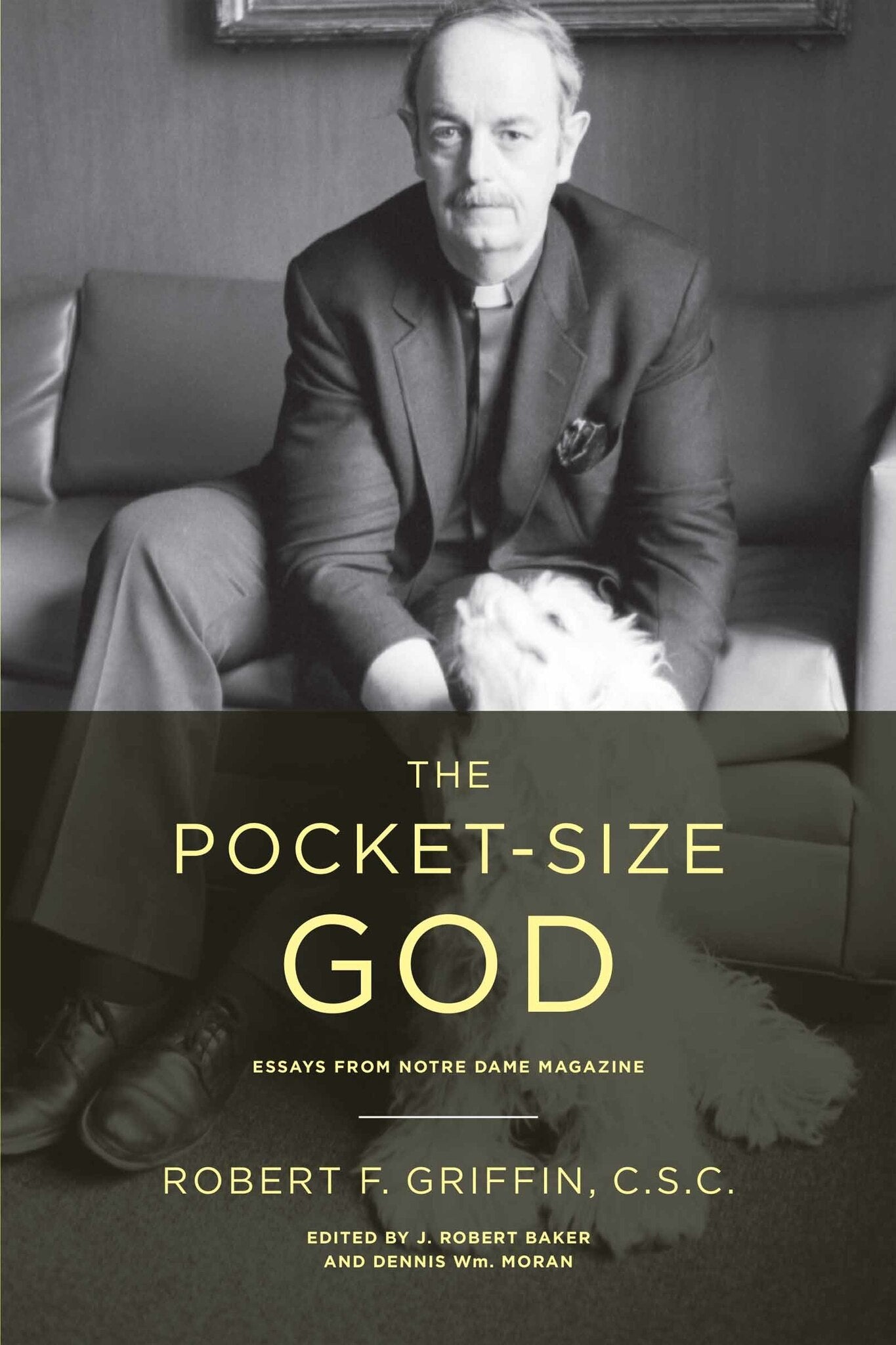 Cover image for The Pocket-Size God ISBN 9780268207076