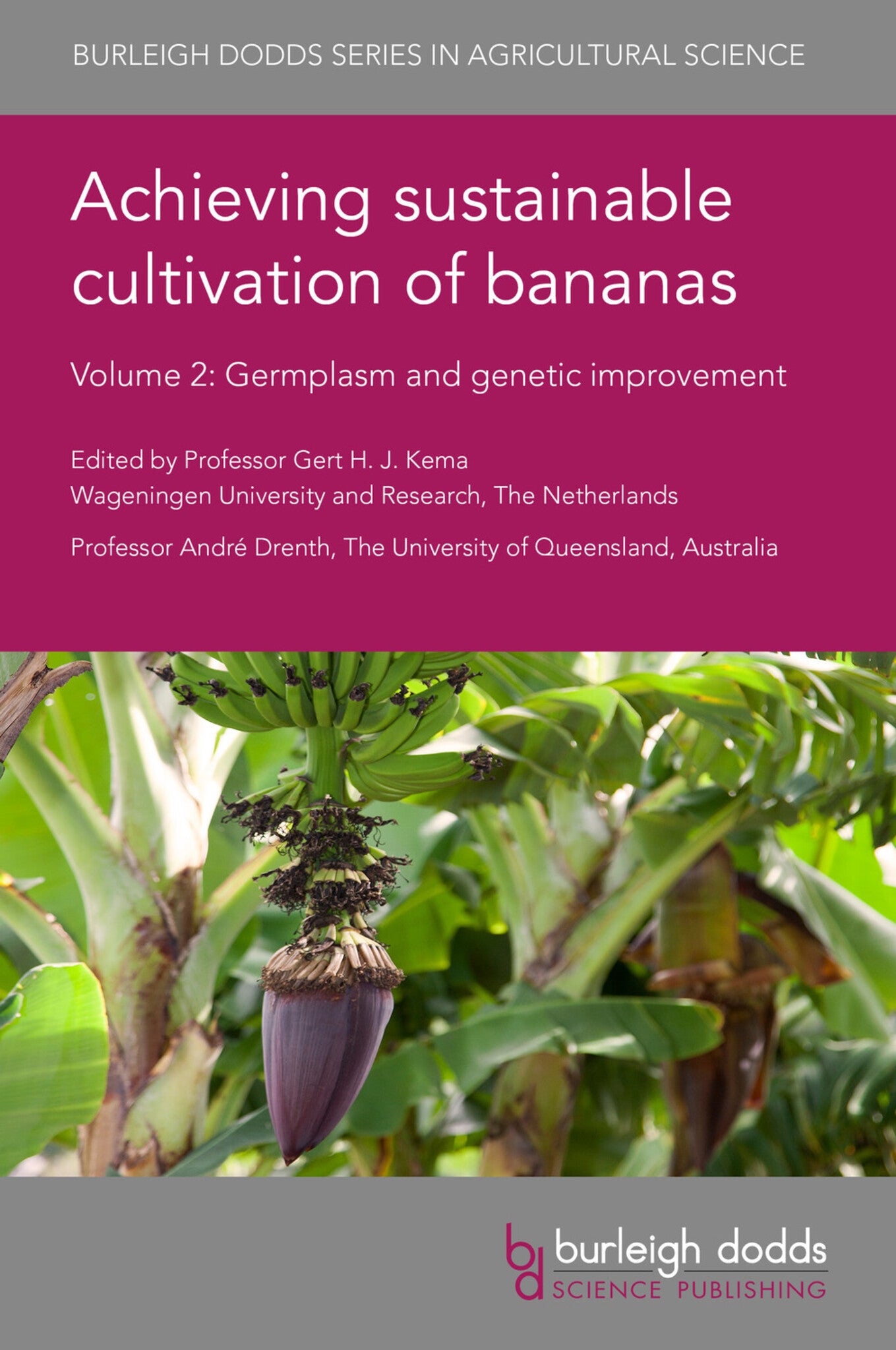 Cover image for Achieving sustainable cultivation of bananas Volume 2 ISBN 9781786763464