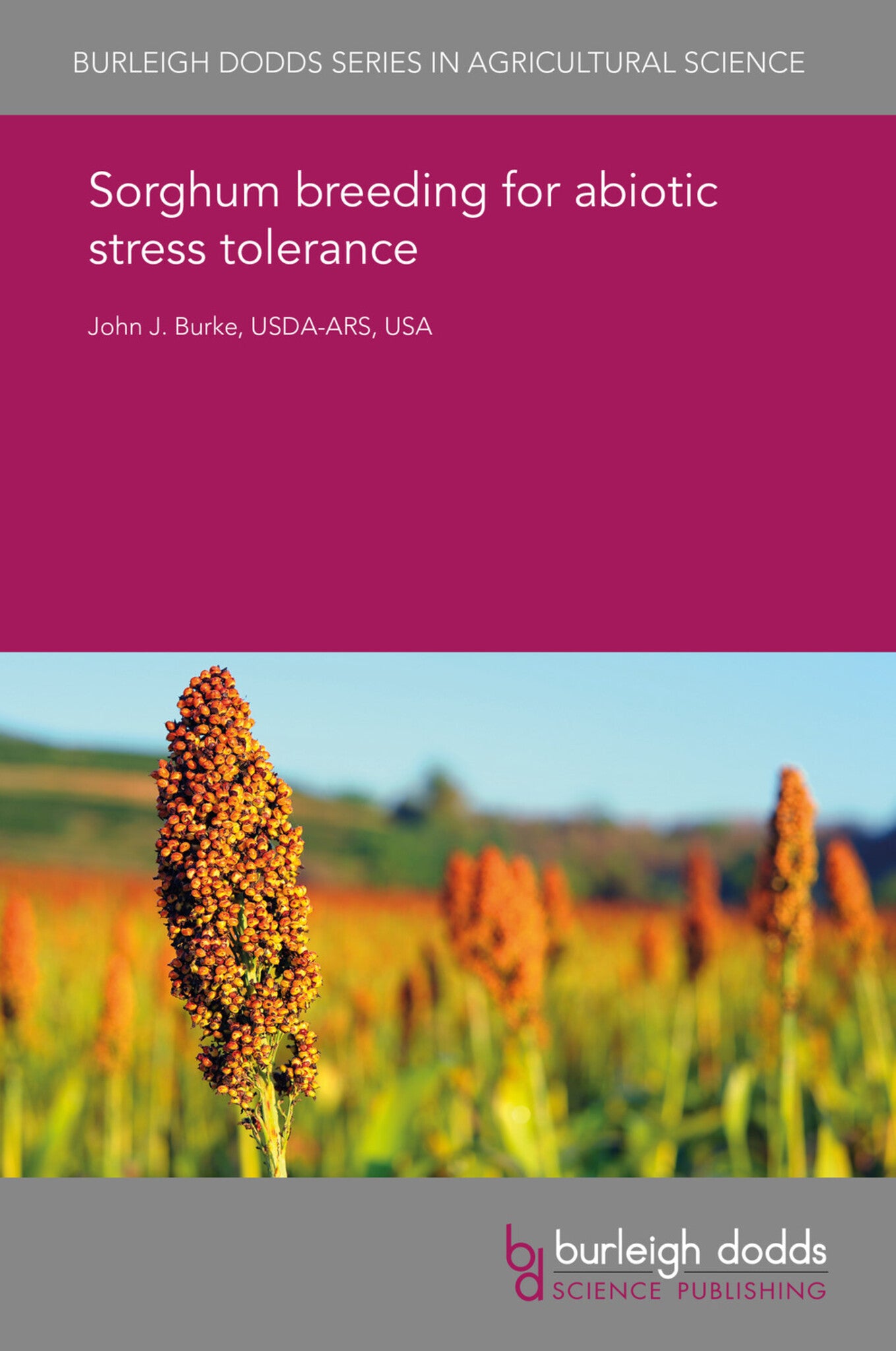 Cover image for Sorghum breeding for abiotic stress tolerance ISBN 9781838795375