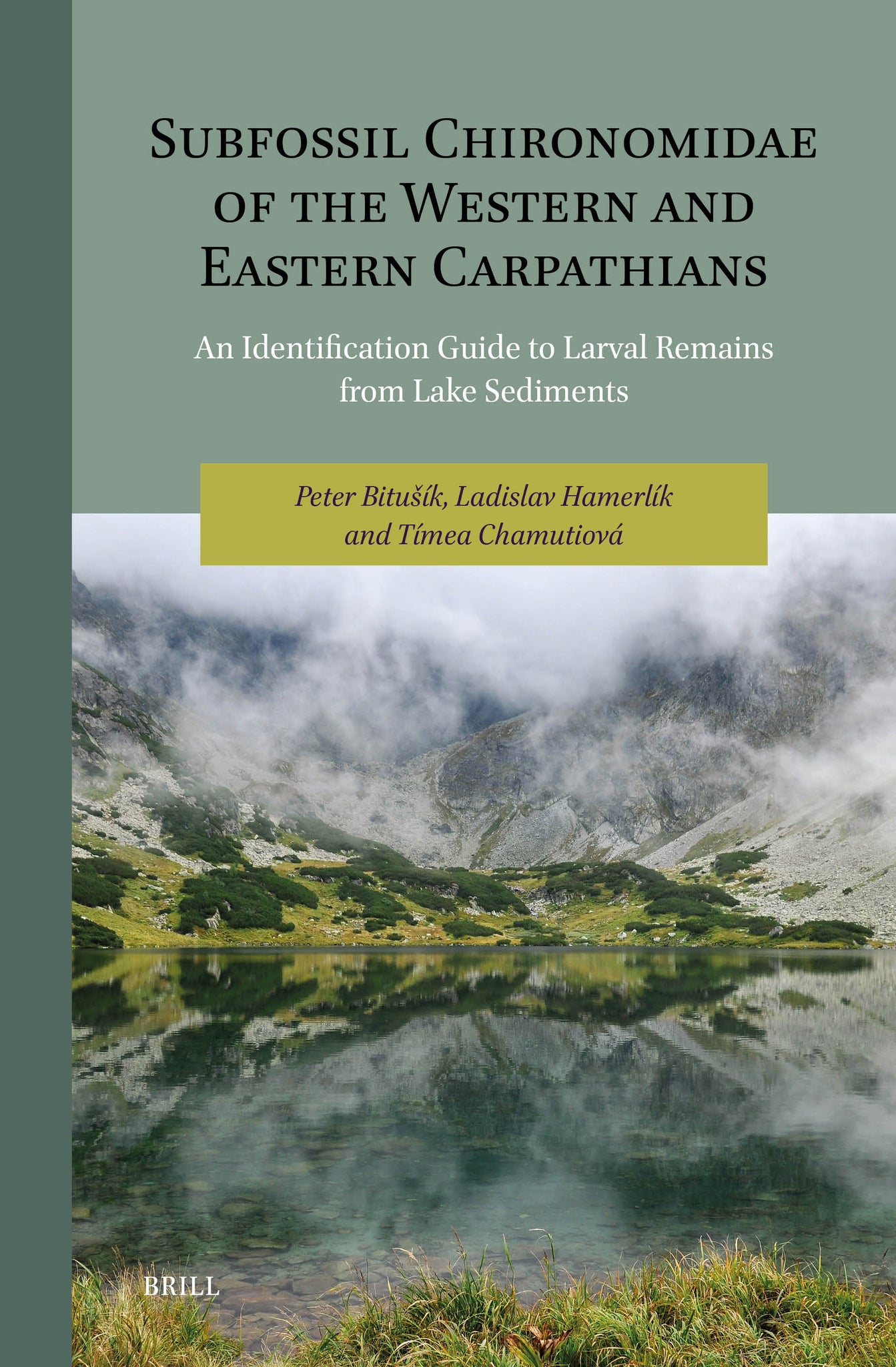 Cover image for Subfossil Chironomidae of the Western and Eastern Carpathians ISBN 9789004694668