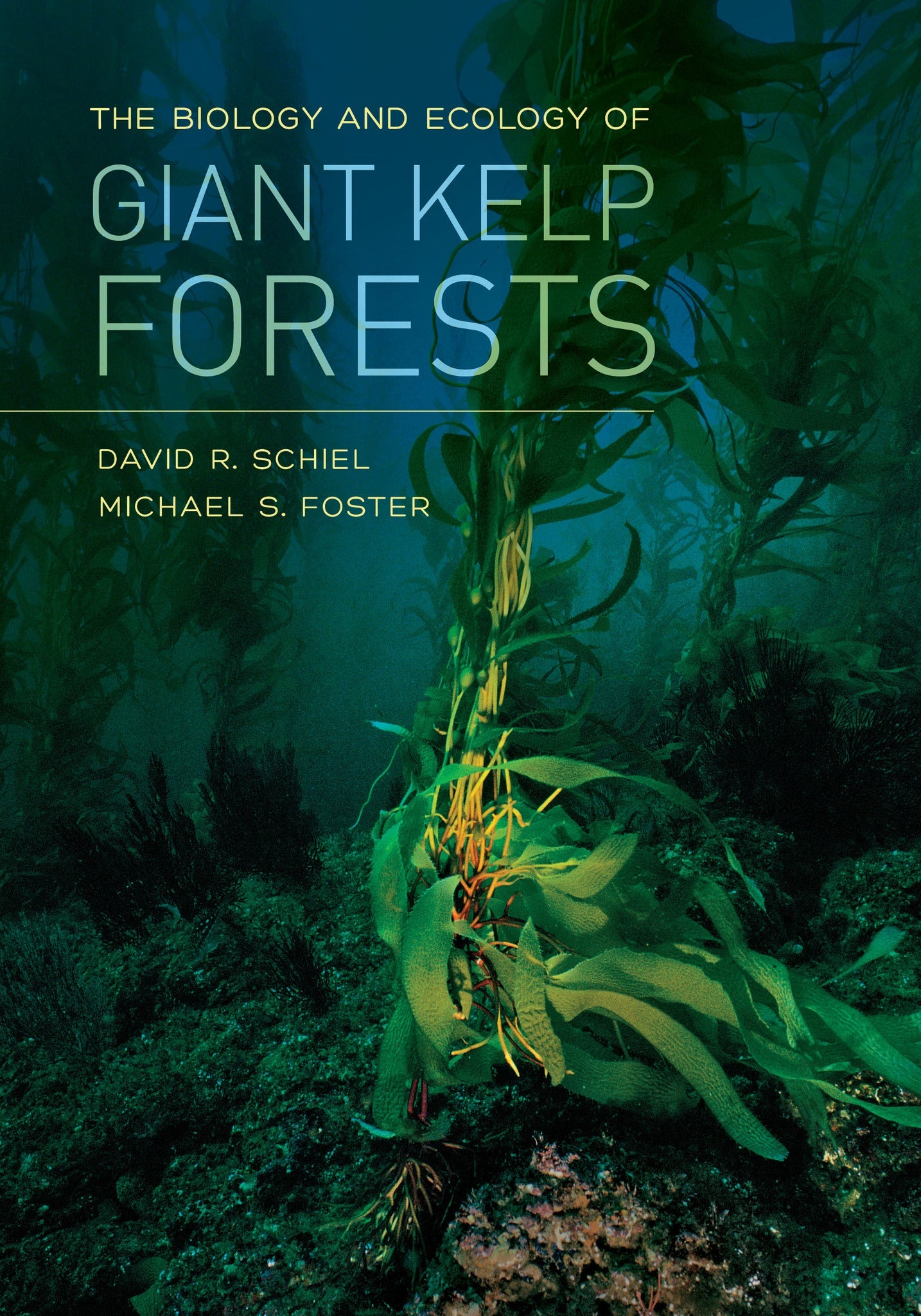 Cover image for The Biology and Ecology of Giant Kelp Forests ISBN 9780520961098