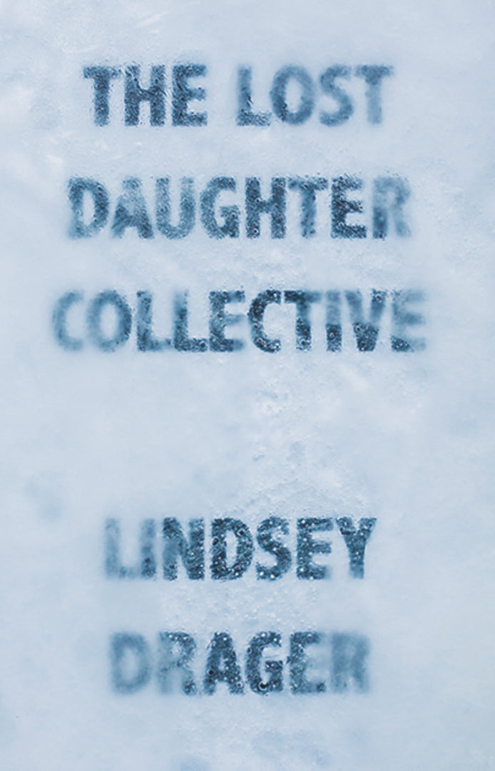 Cover image for The Lost Daughter Collective ISBN 9781941088739