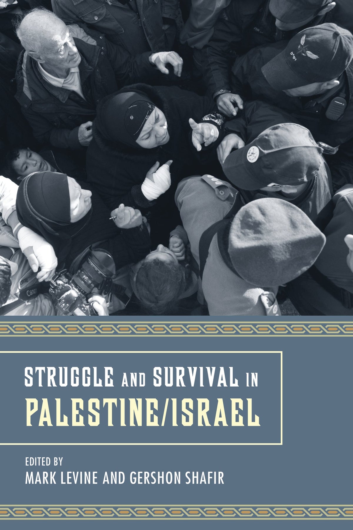 Cover image for Struggle and Survival in Palestine/Israel ISBN 9780520953901