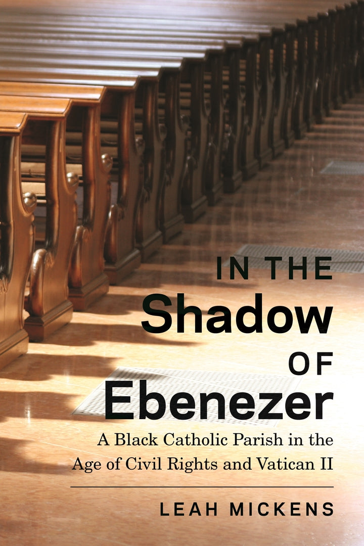 Cover image for In the Shadow of Ebenezer ISBN 9781479816491