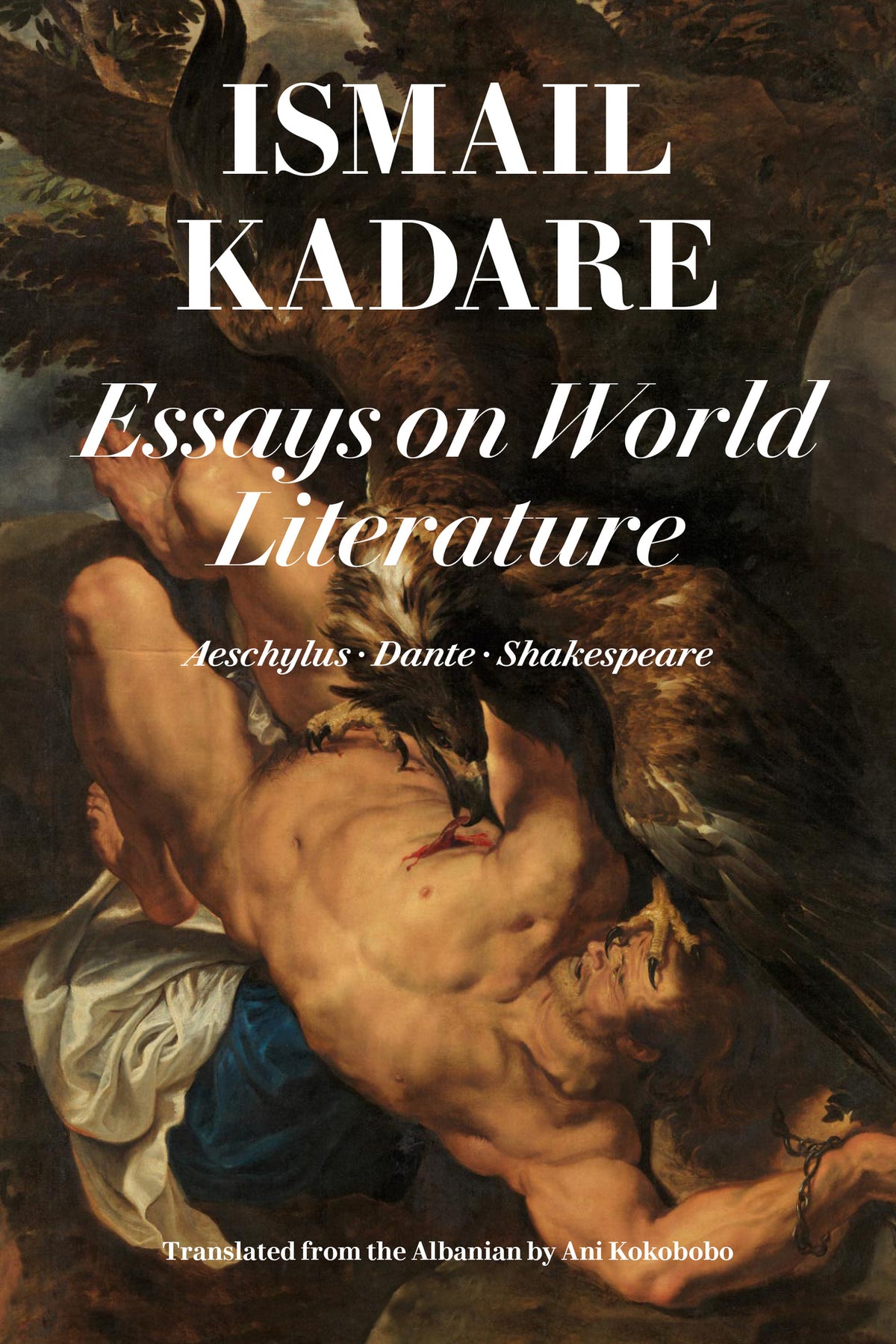 Cover image for Essays on World Literature ISBN 9781632061751