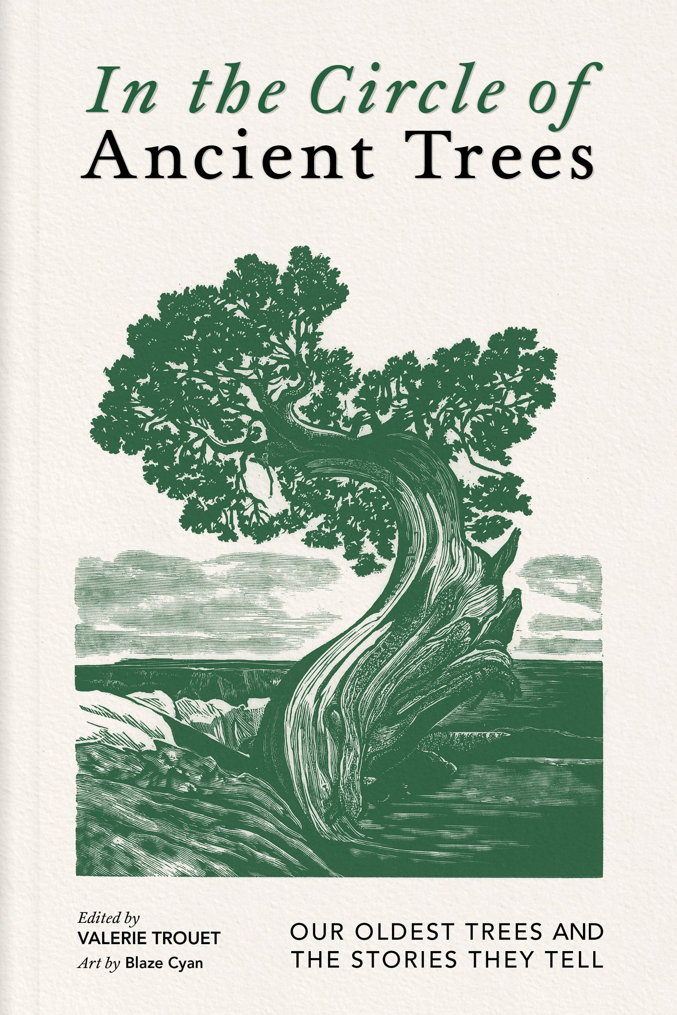 Cover image for In the Circle of Ancient Trees ISBN 9781778402685
