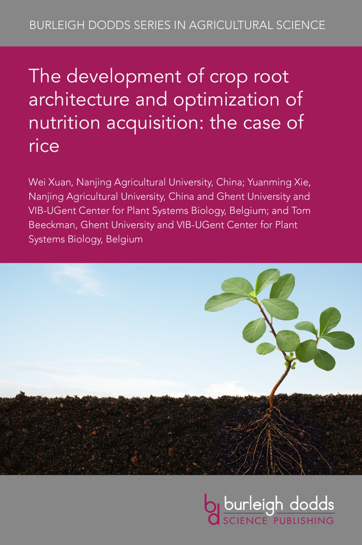 Cover image for The development of crop root architecture and optimization of nutrition acquisition: the case of rice ISBN 9781786769909