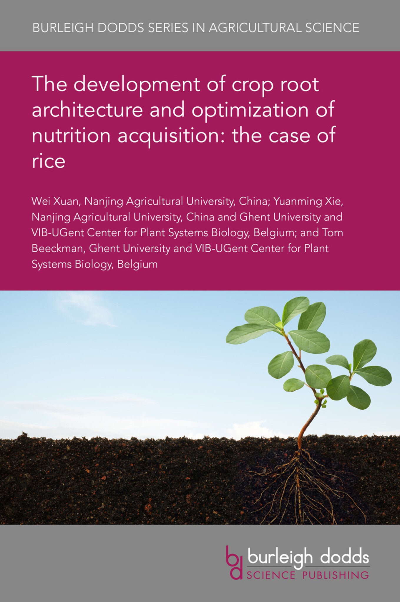 Cover image for The development of crop root architecture and optimization of nutrition acquisition: the case of rice ISBN 9781786769909