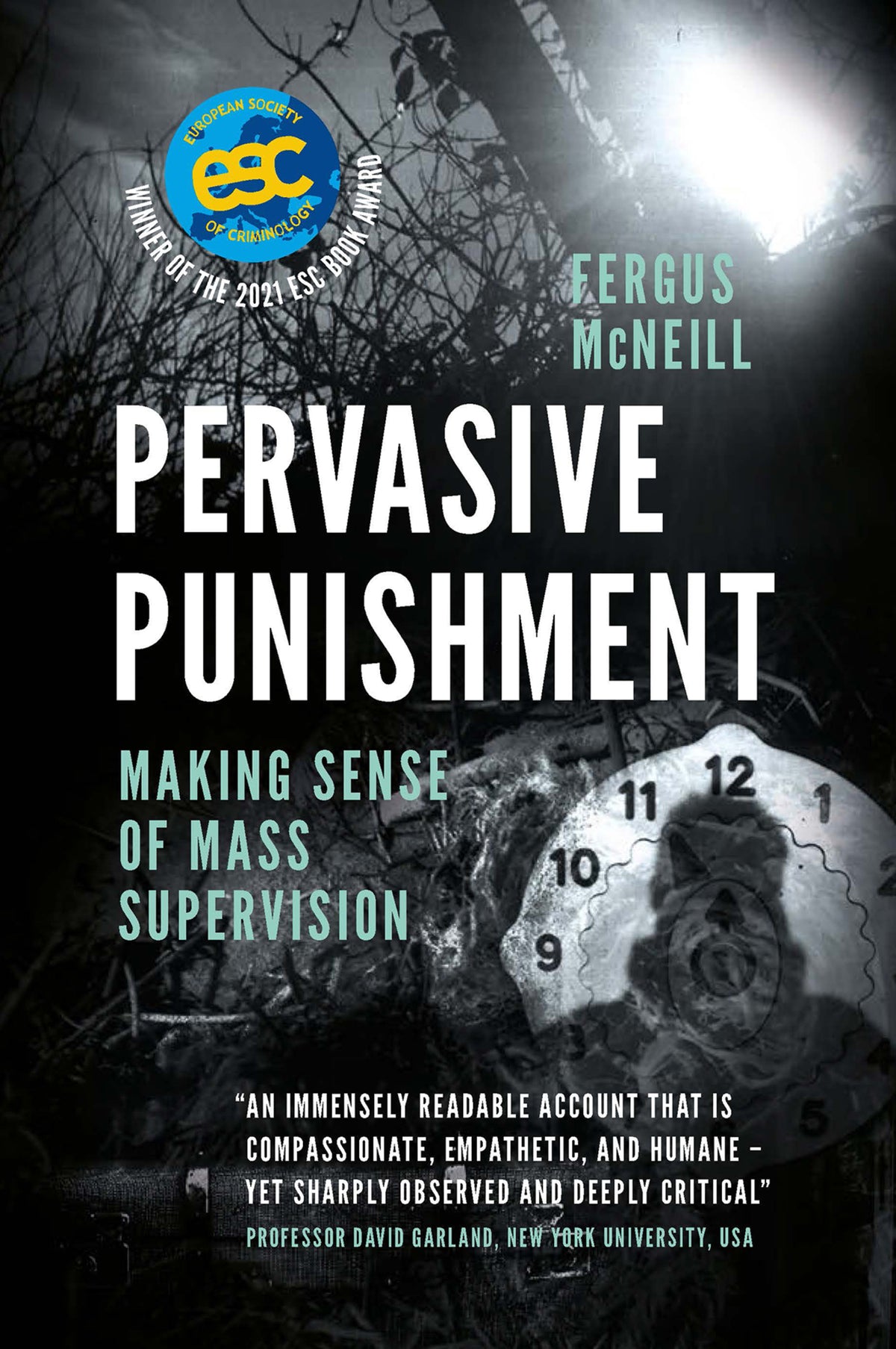 Cover image for Pervasive Punishment ISBN 9781787564664