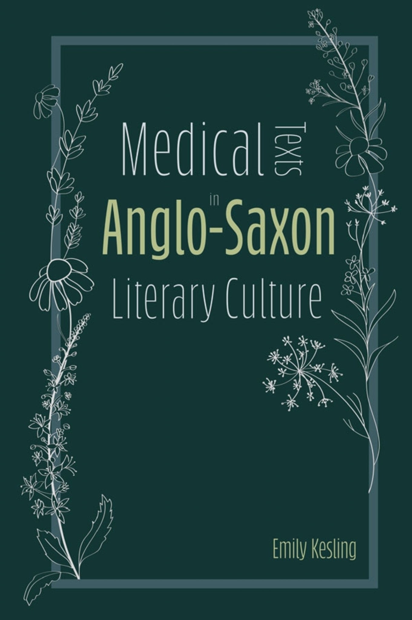 Cover image for Medical Texts in Anglo-Saxon Literary Culture ISBN 9781843846833