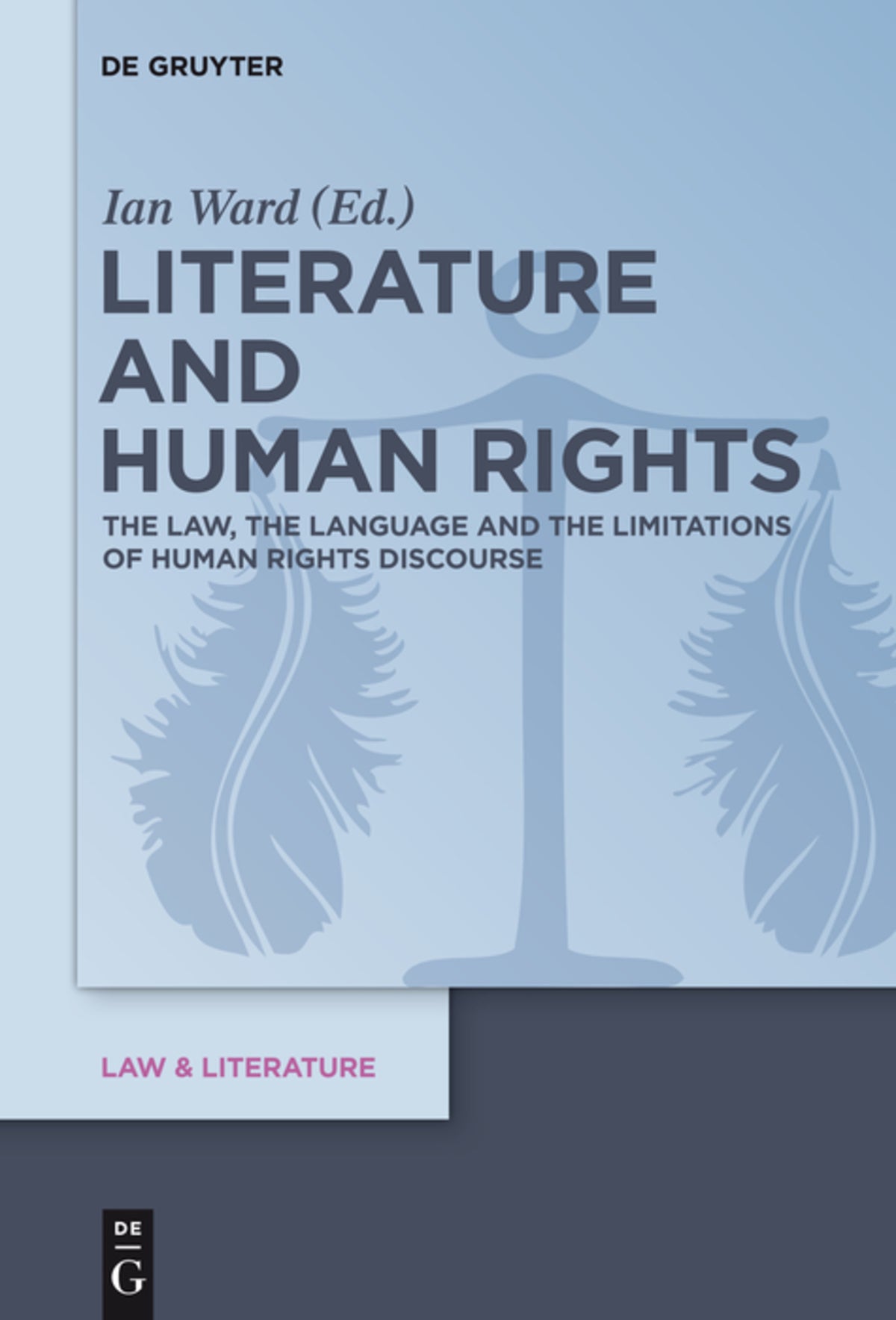 Cover image for Literature and Human Rights ISBN 9783110553024