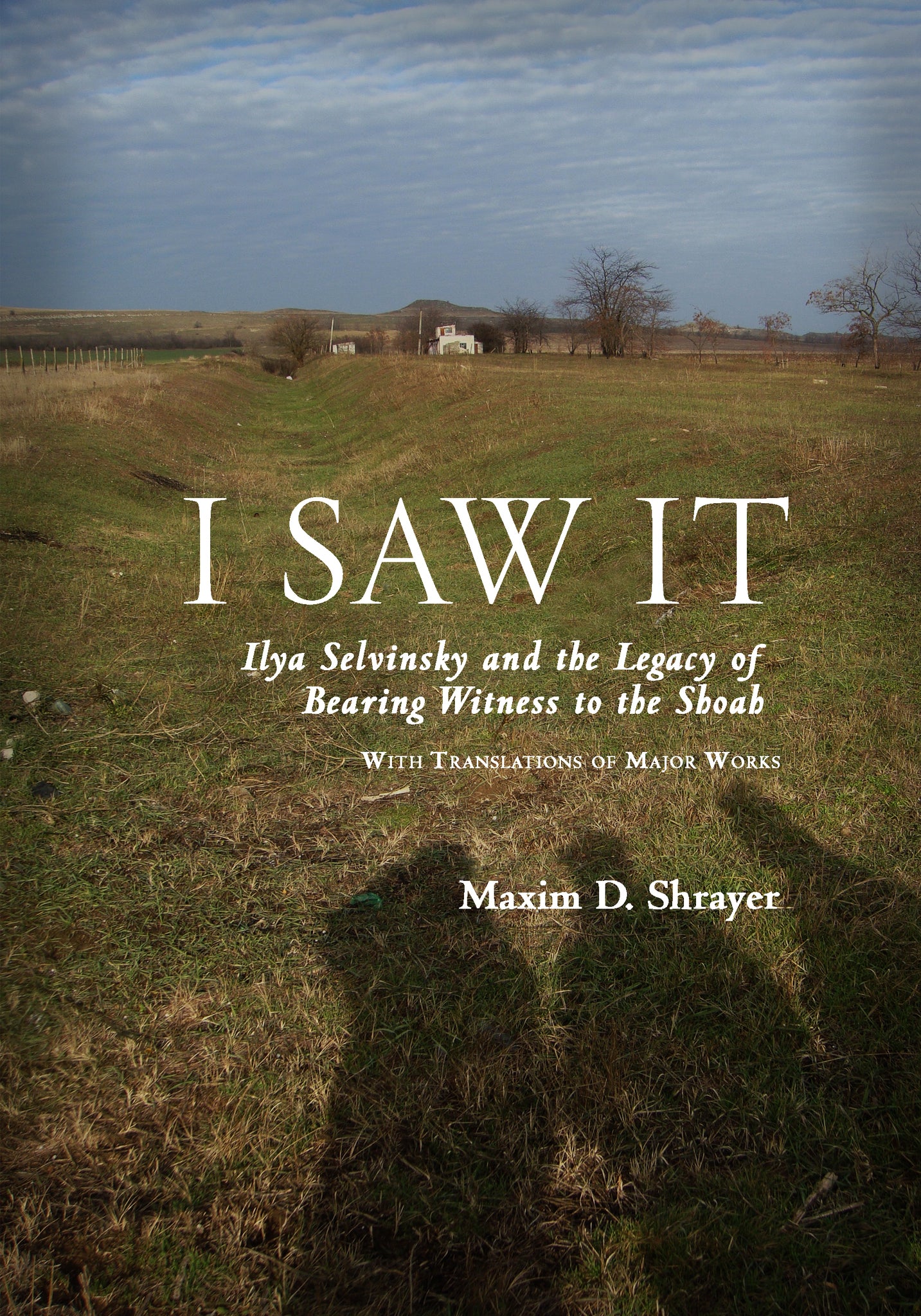 Cover image for I Saw It ISBN 9781618113078
