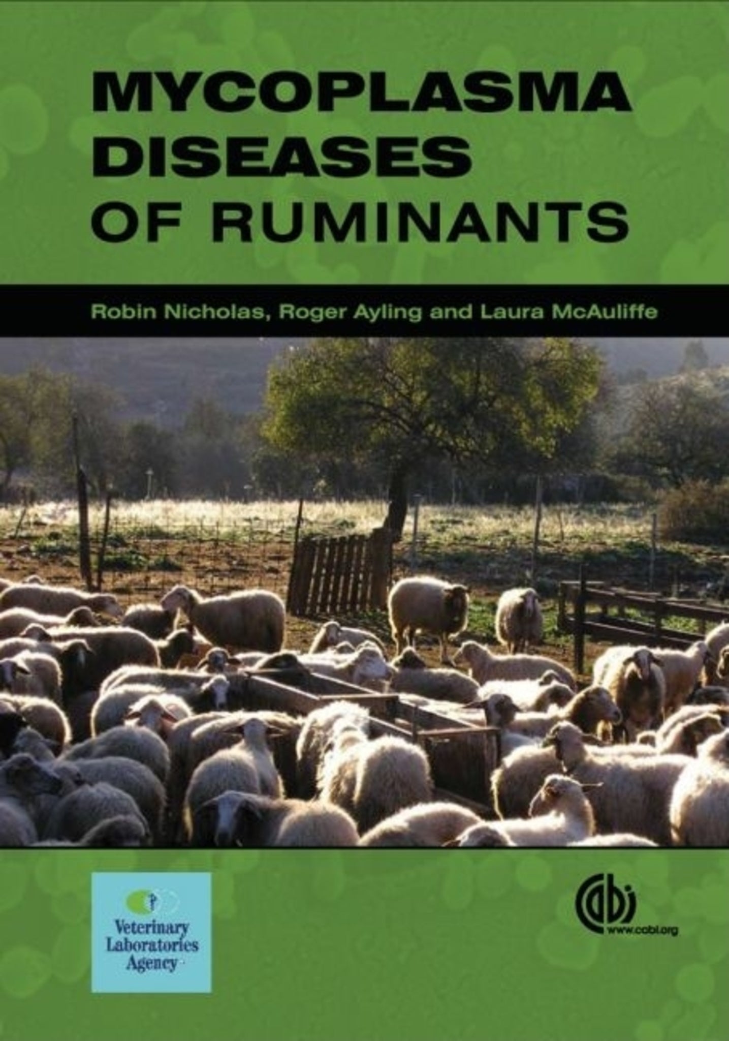 Mycoplasma Diseases of Ruminants