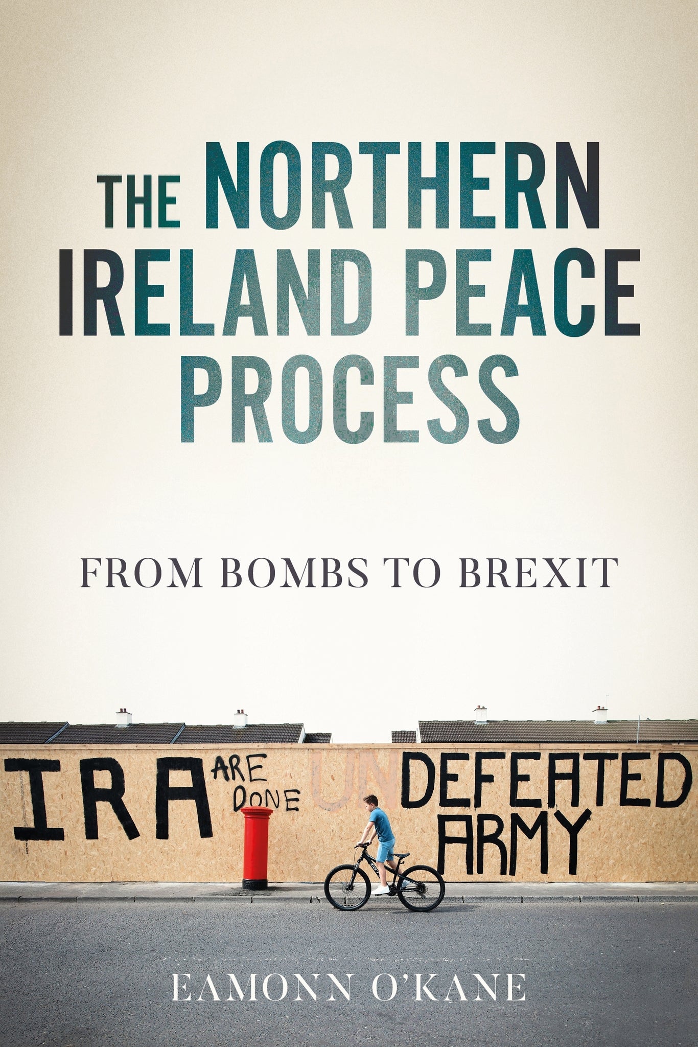 Cover image for The Northern Ireland peace process ISBN 9781526179098
