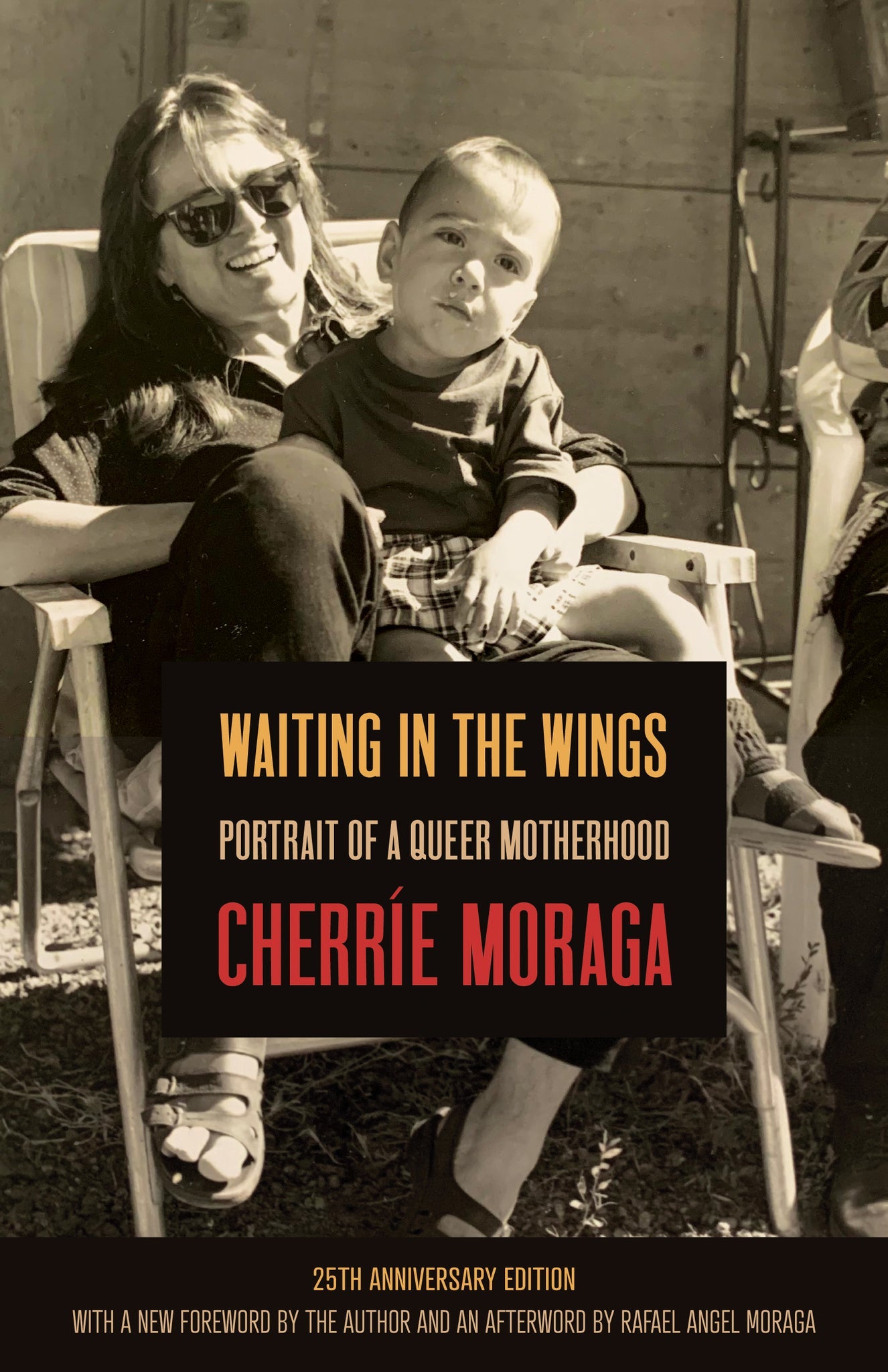 Cover image for Waiting in the Wings ISBN 9781642598780
