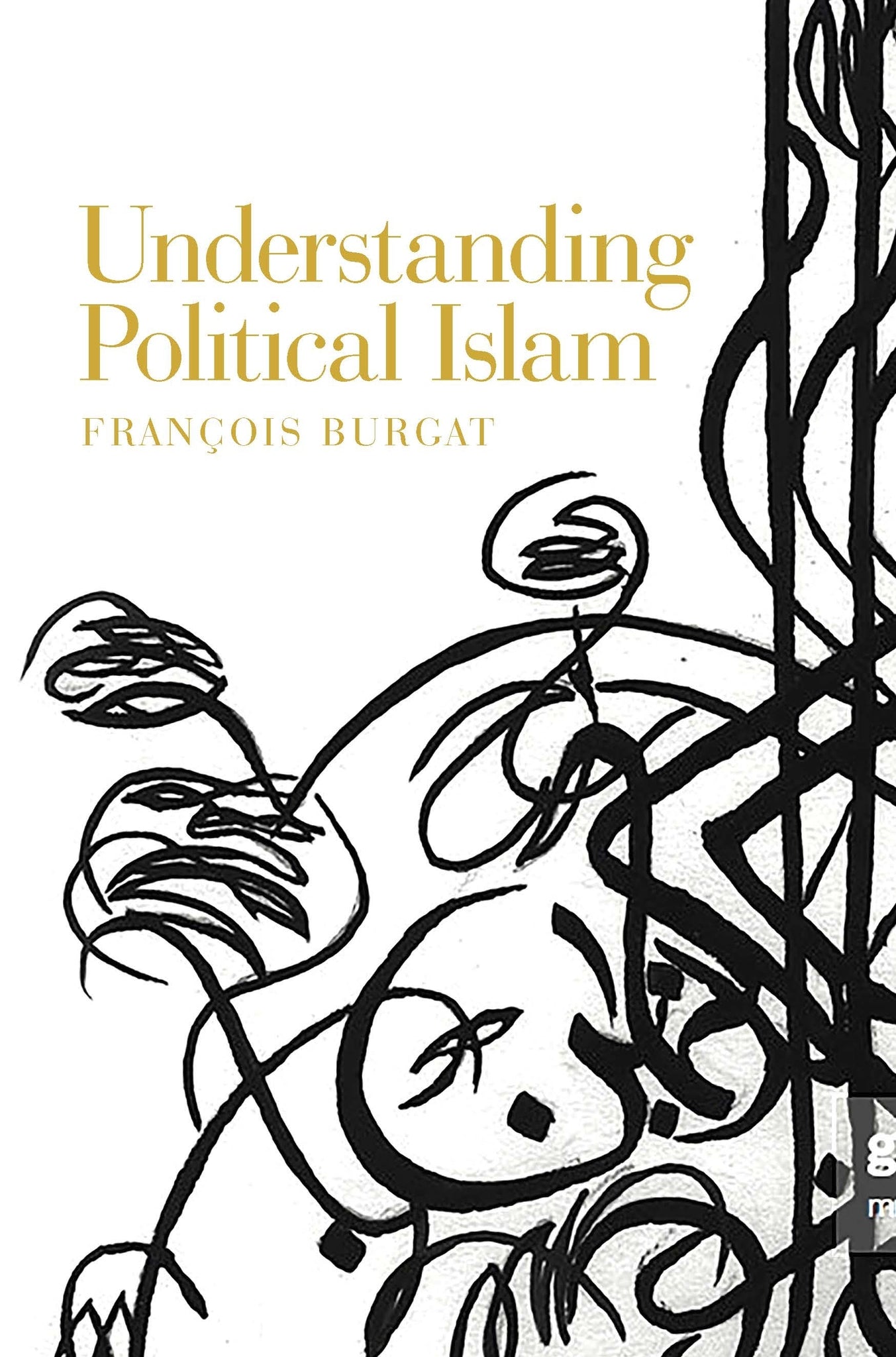 Cover image for Understanding Political Islam ISBN 9781526143433