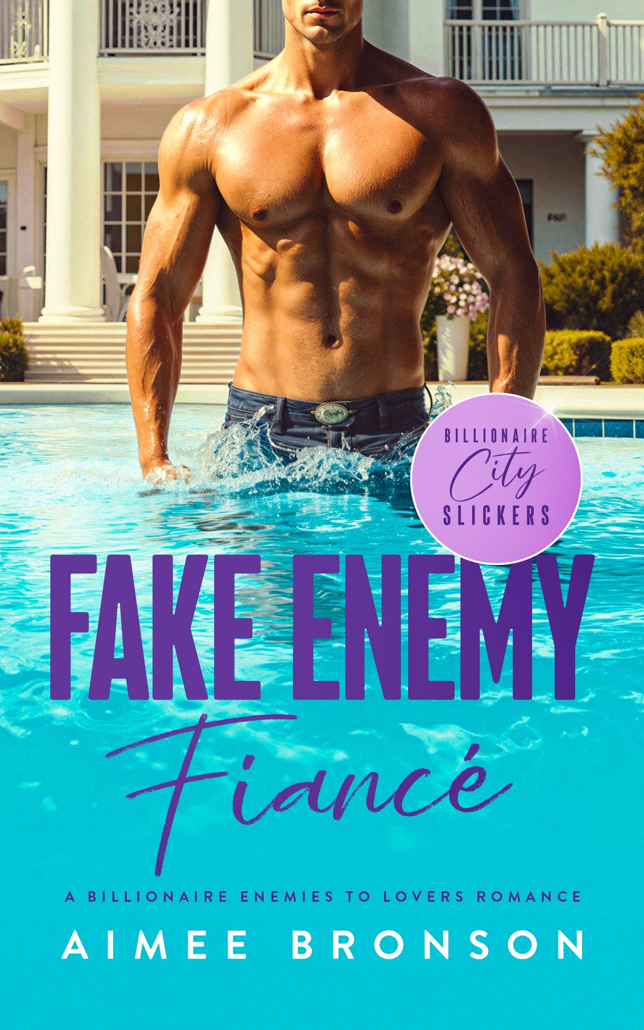 Fake Enemy Fiancé