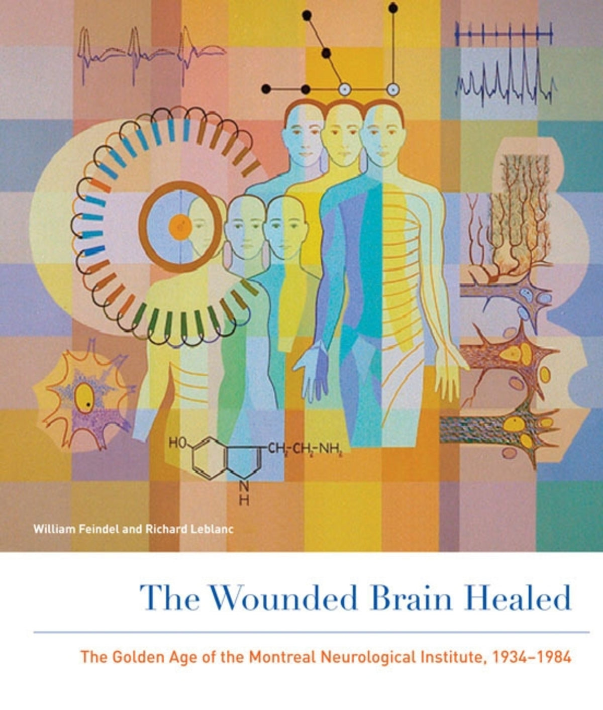 Cover image for The Wounded Brain Healed ISBN 9780773546370