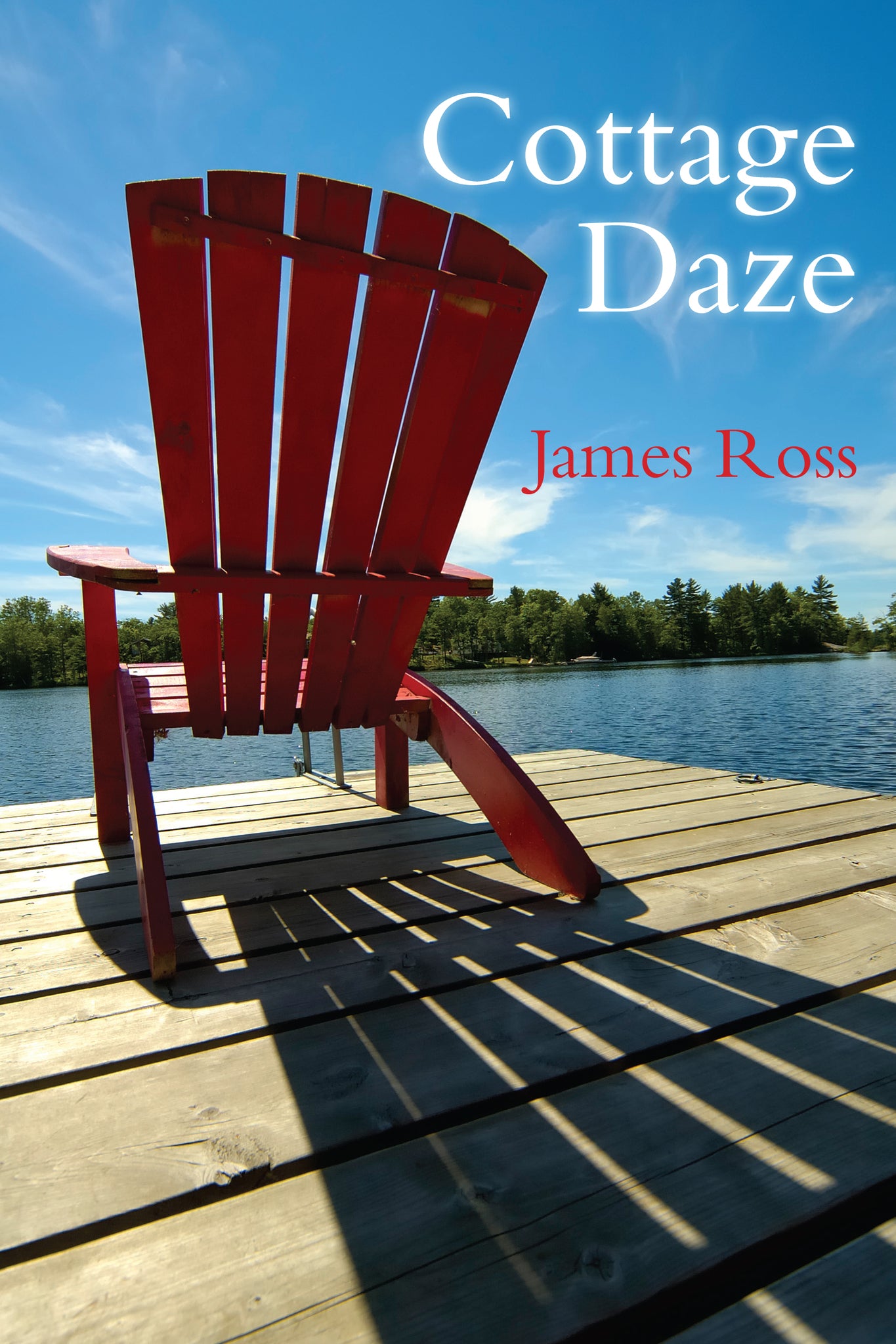 Cover image for Cottage Daze ISBN 9781459704459