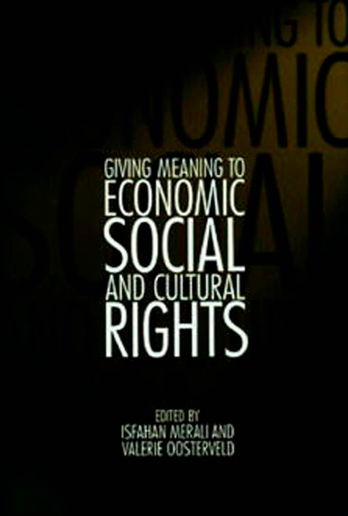 Giving Meaning to Economic, Social, and Cultural Rights