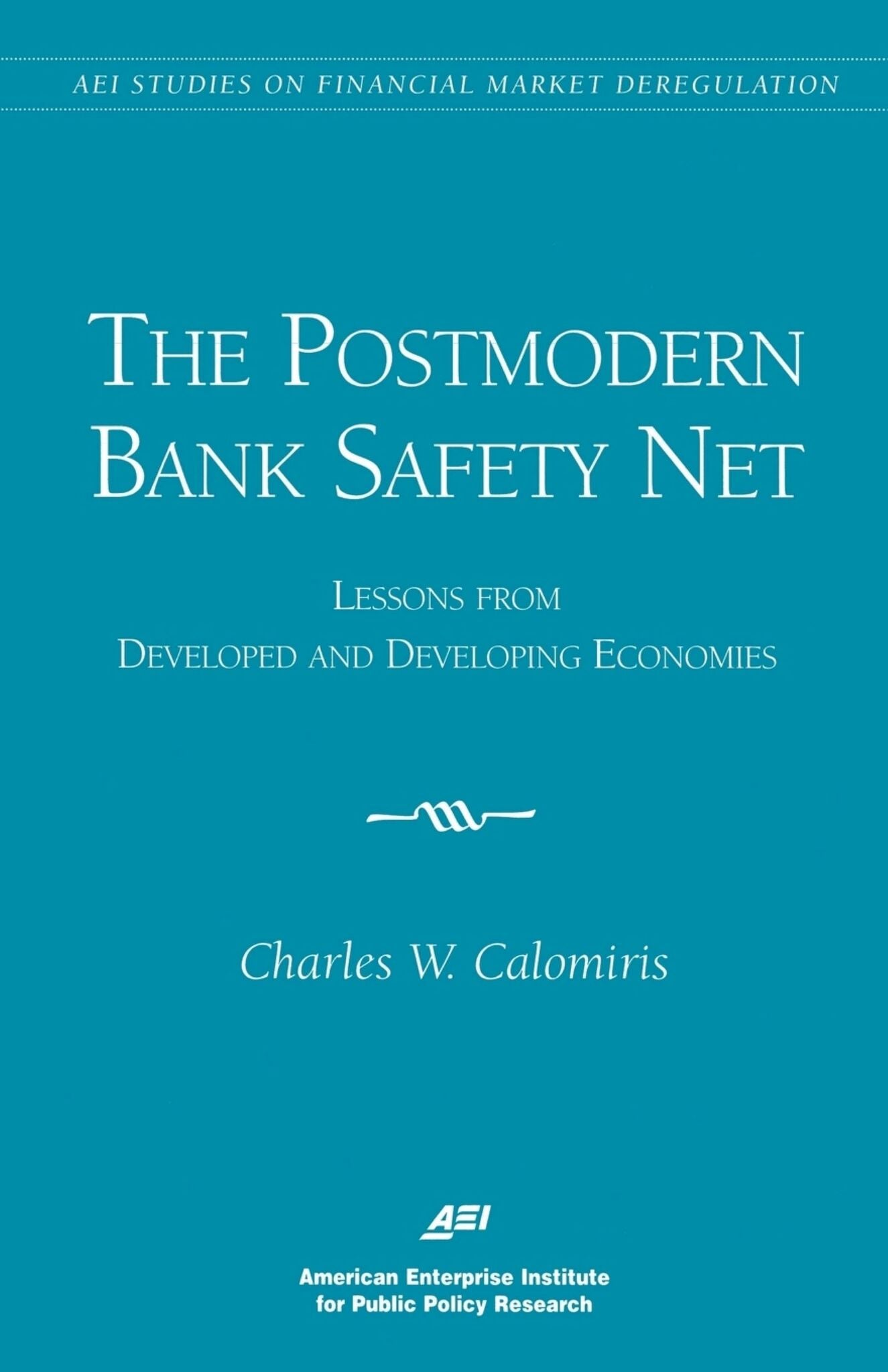 Cover image for The Postmodern Bank Safety Net: ISBN 9780844771007