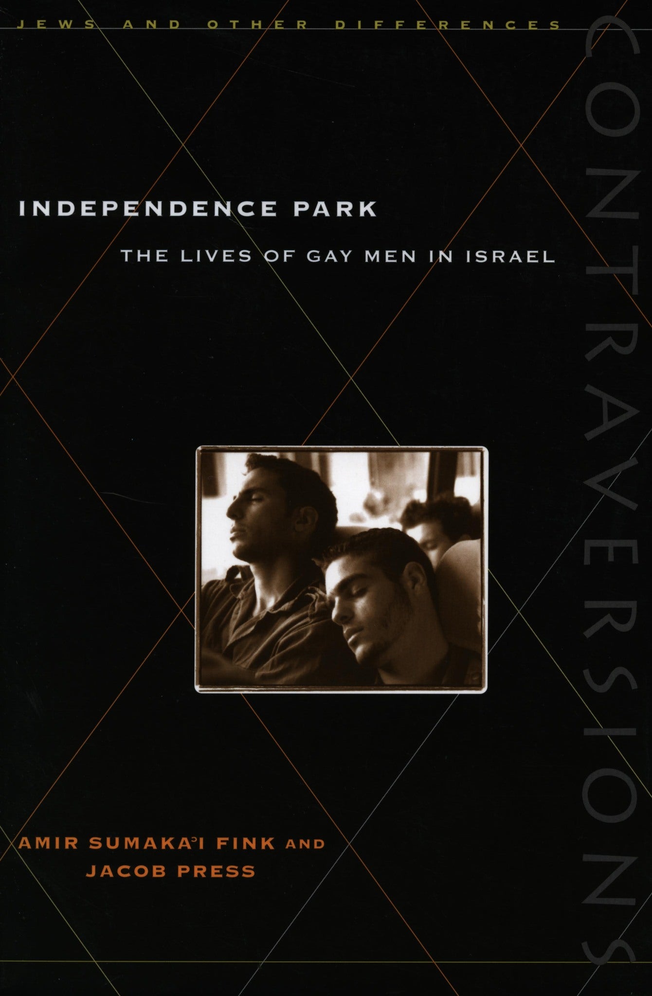 Cover image for Independence Park ISBN 9780804736190