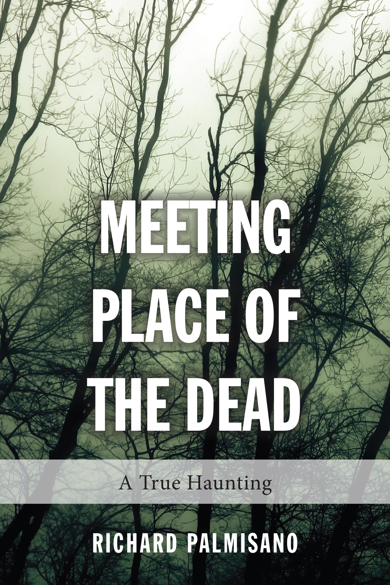 Cover image for Meeting Place of the Dead ISBN 9781459728455