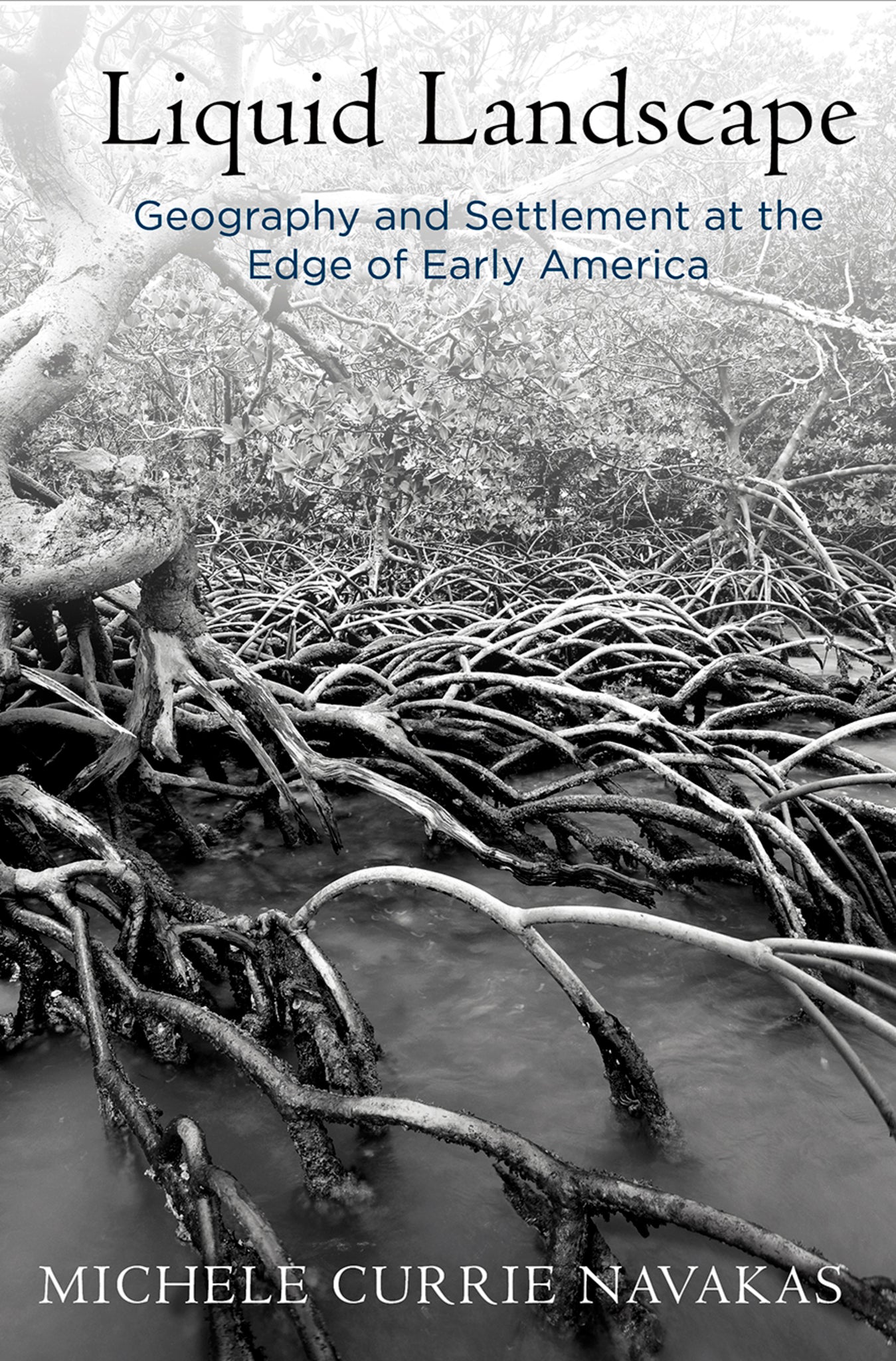 Cover image for Liquid Landscape ISBN 9780812249569