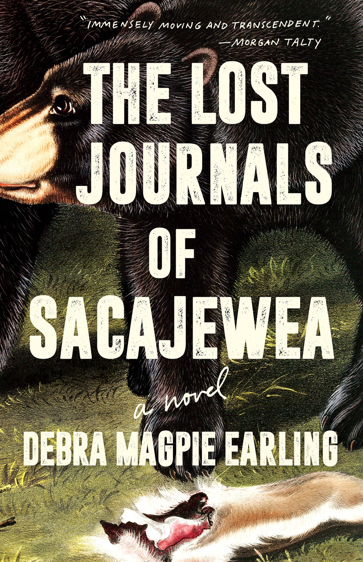Cover image for The Lost Journals of Sacajewea ISBN 9781571311450