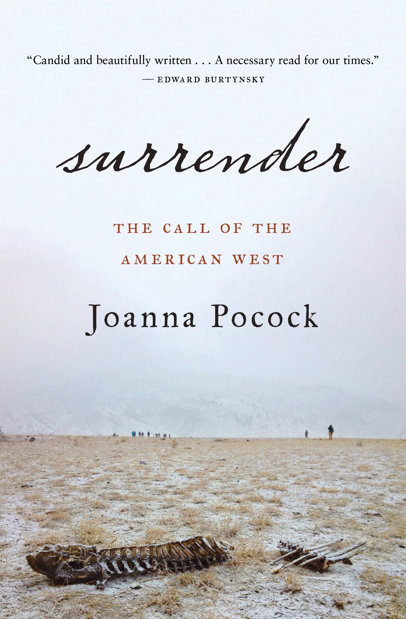 Cover image for Surrender ISBN 9781487007249